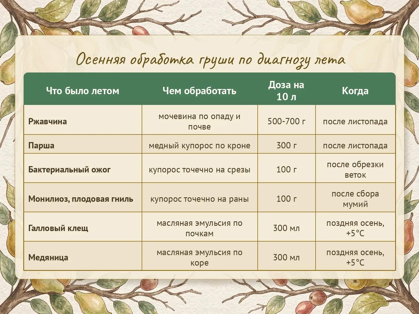 Таблица