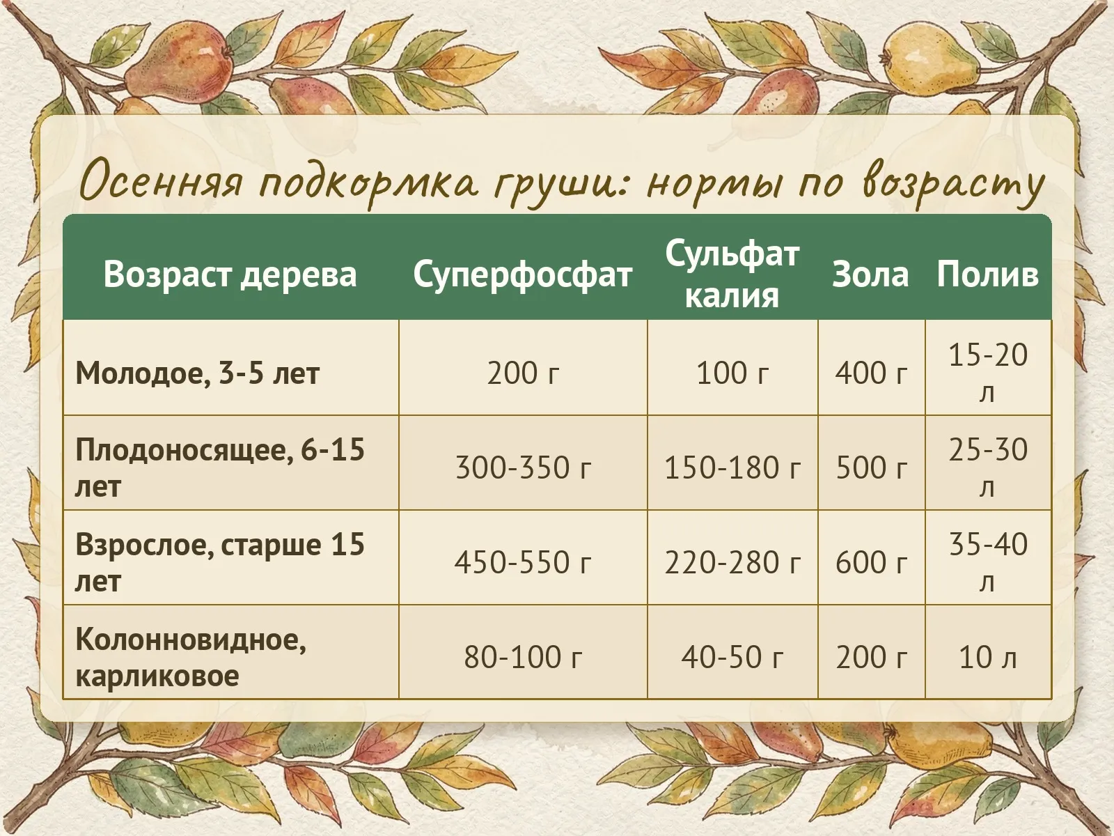 Таблица