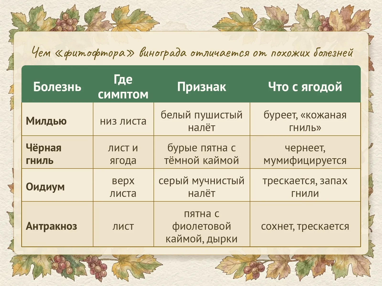 Таблица