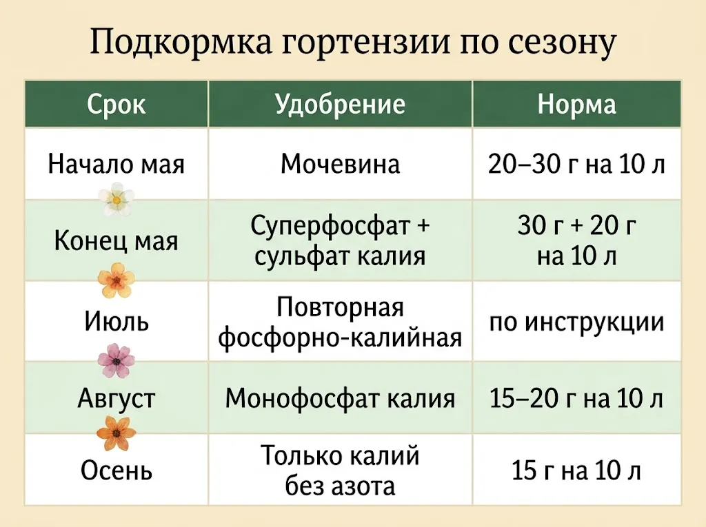 Таблица