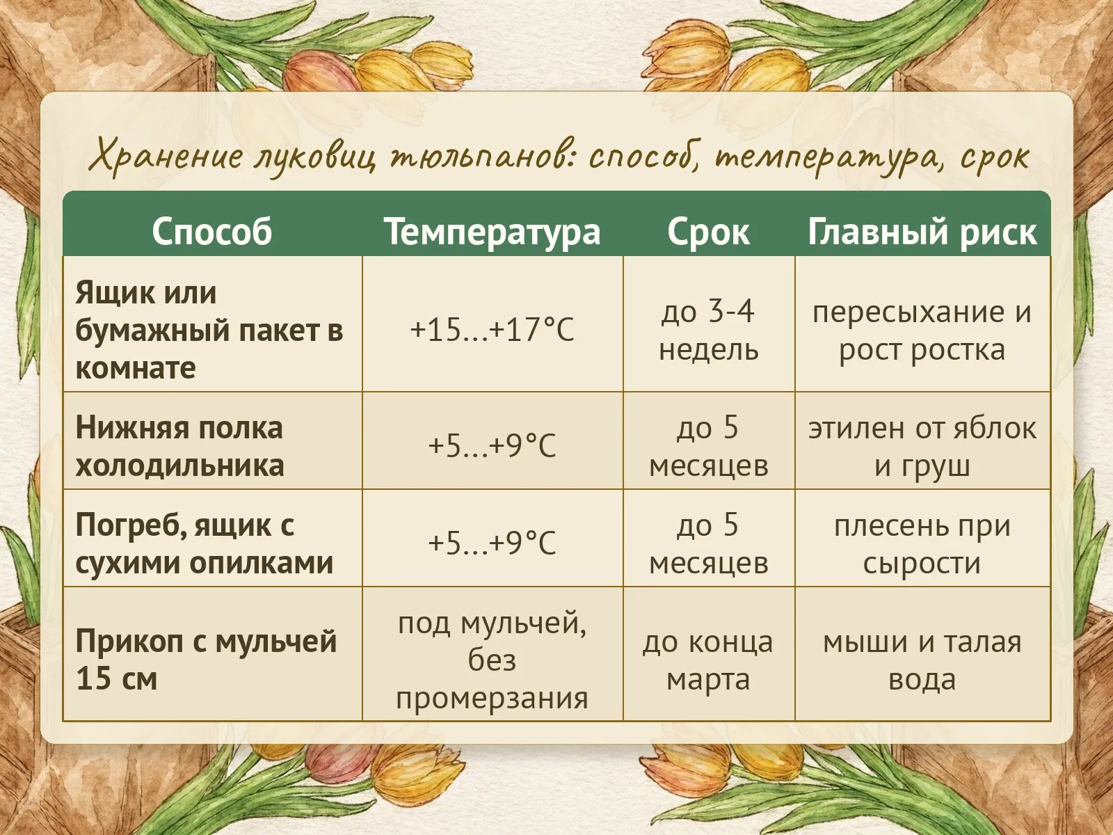 Таблица