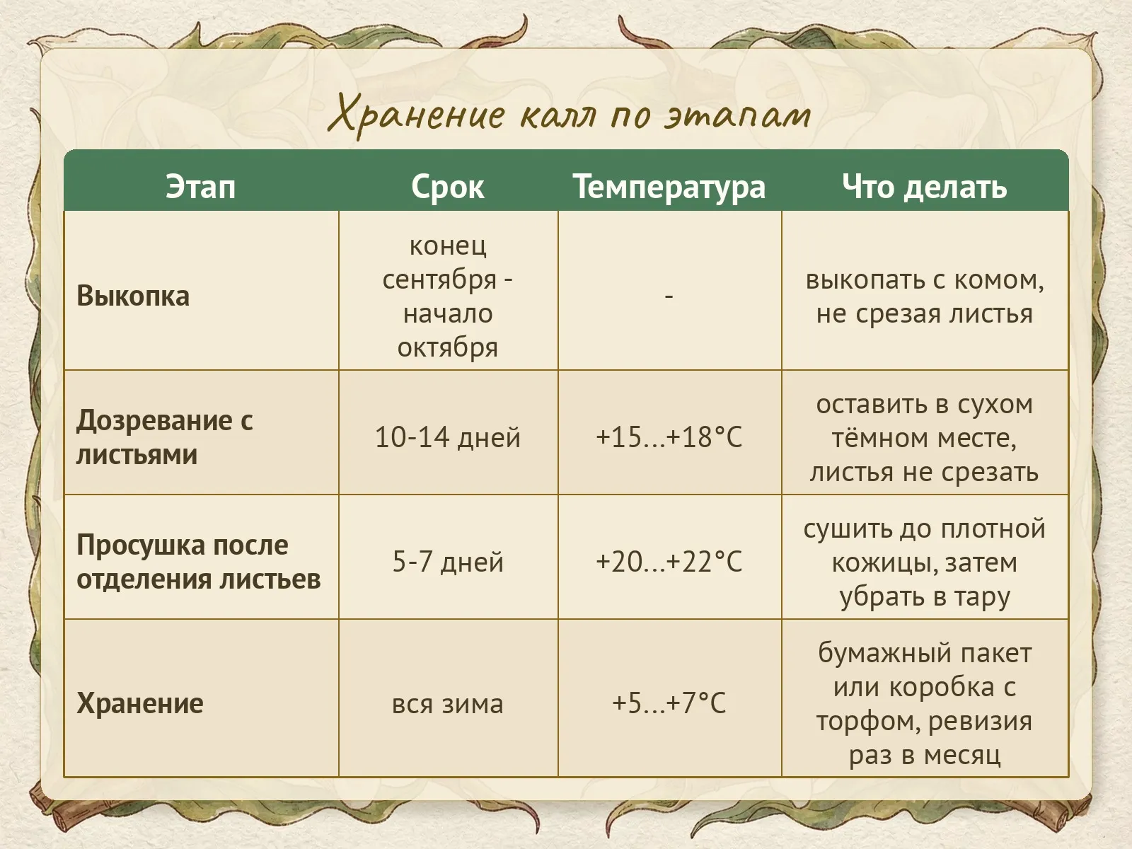 Таблица