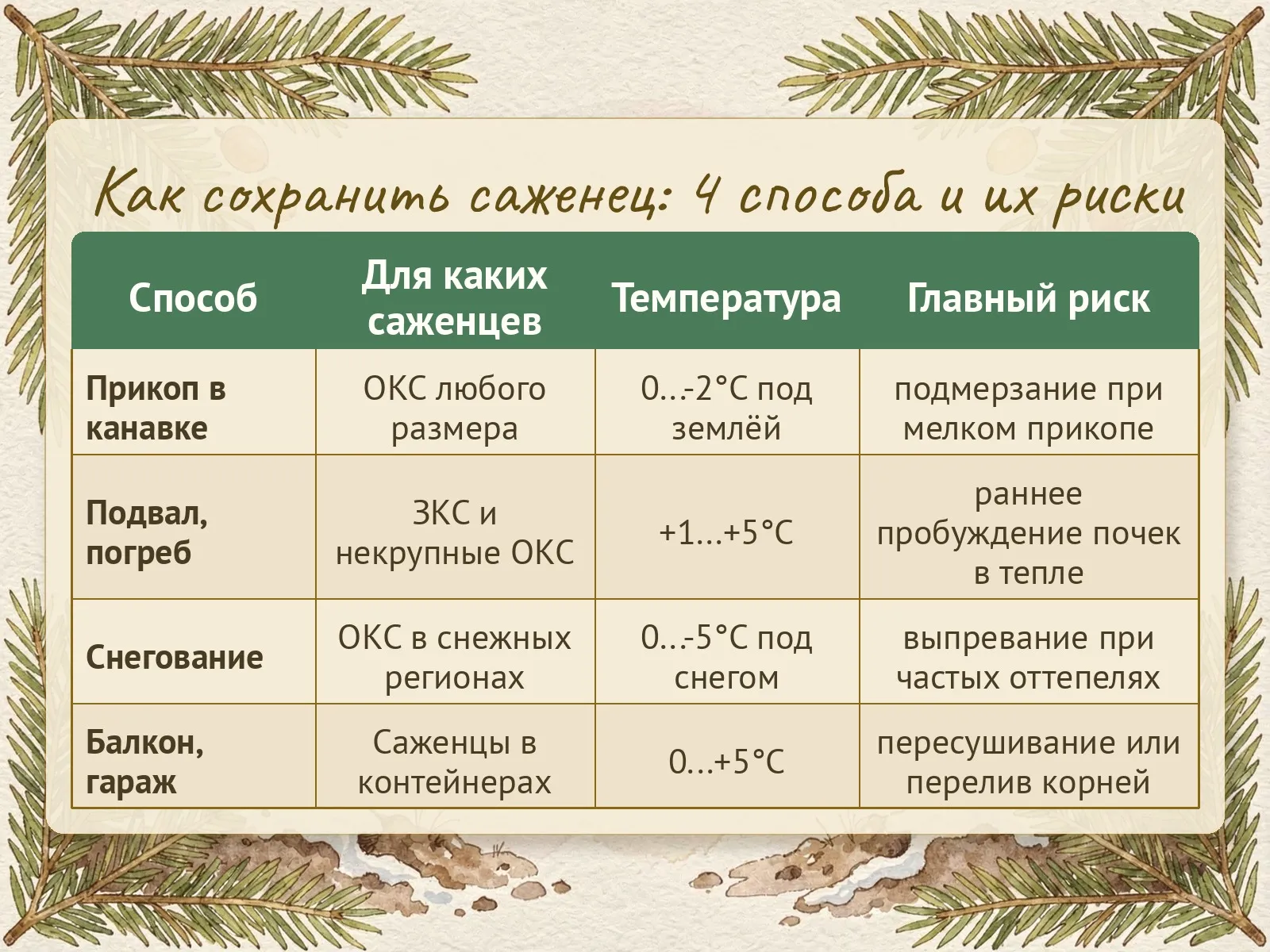 Таблица