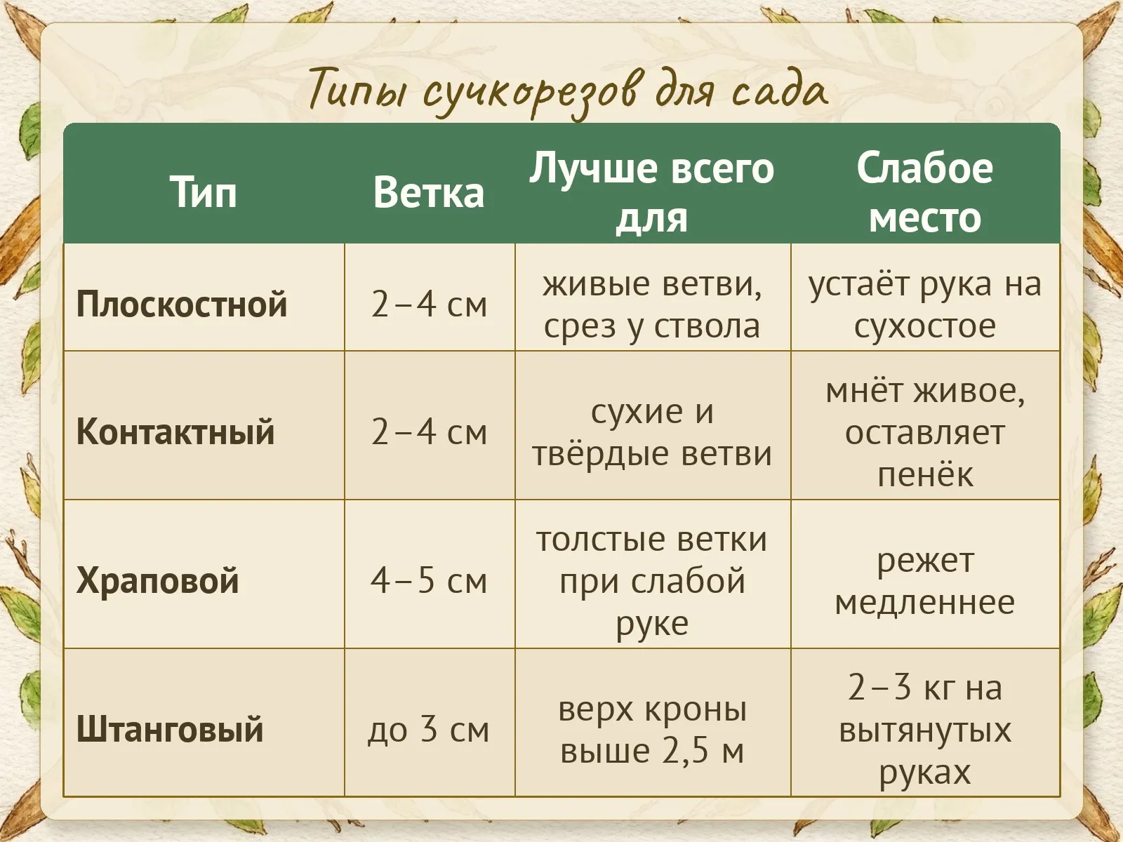 Таблица