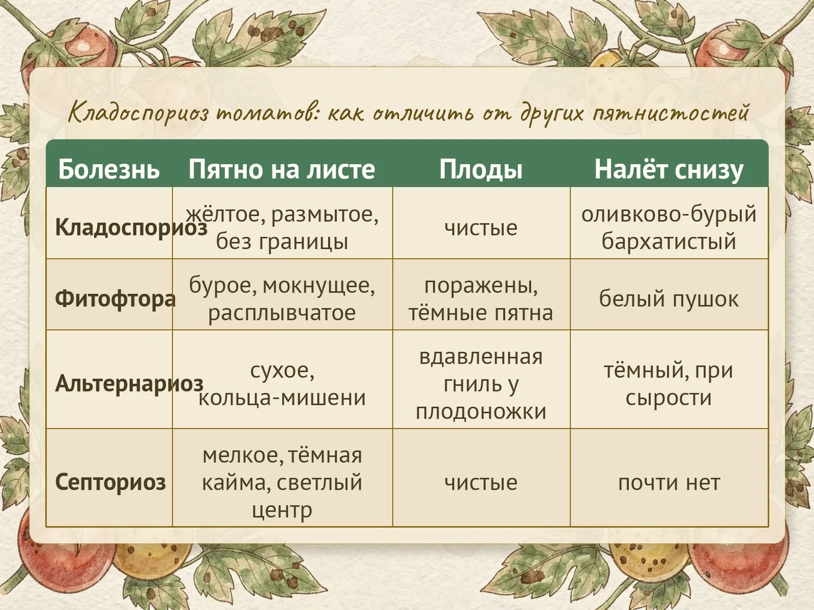 Таблица