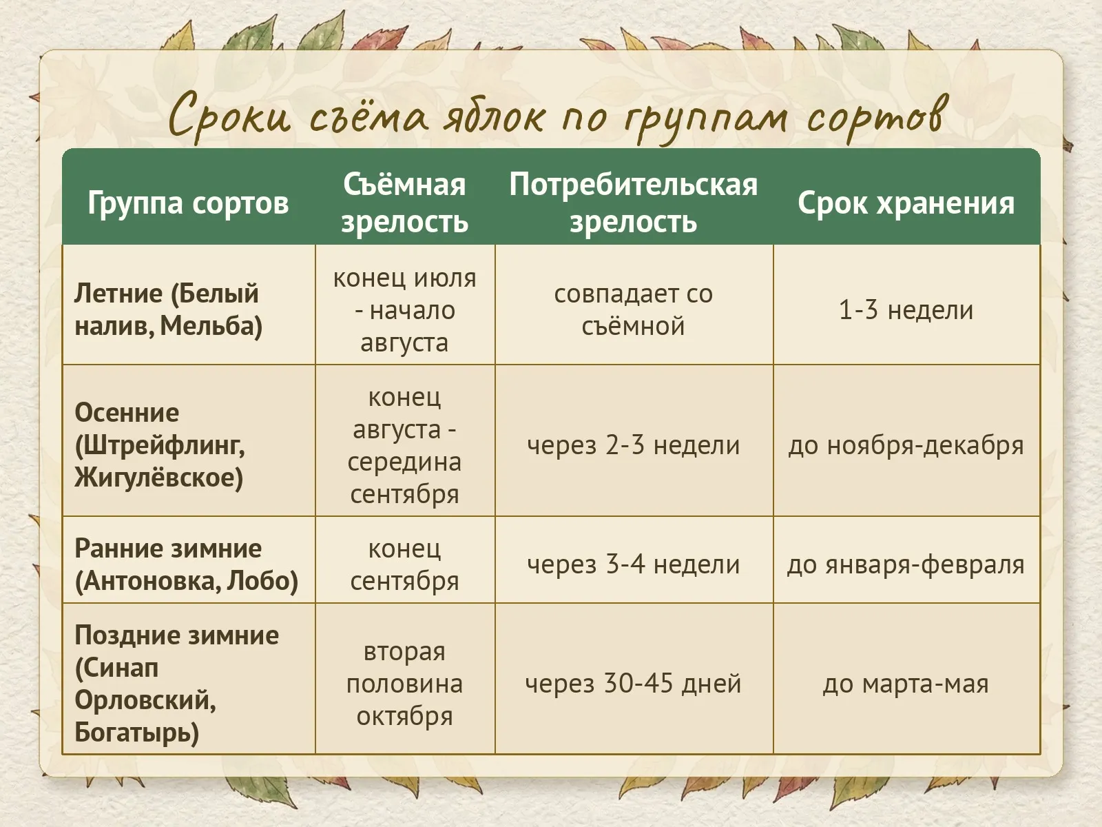 Таблица