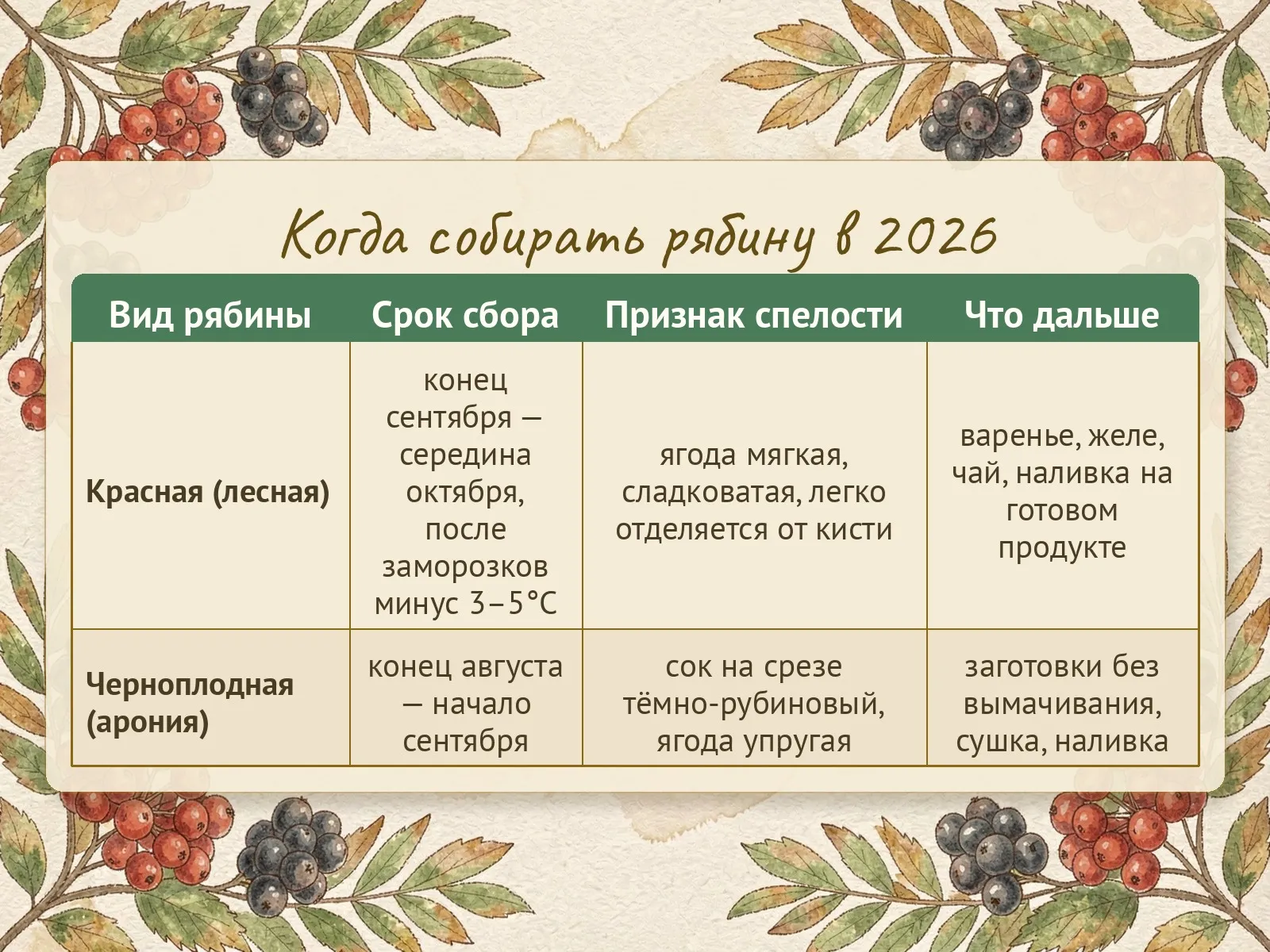 Таблица