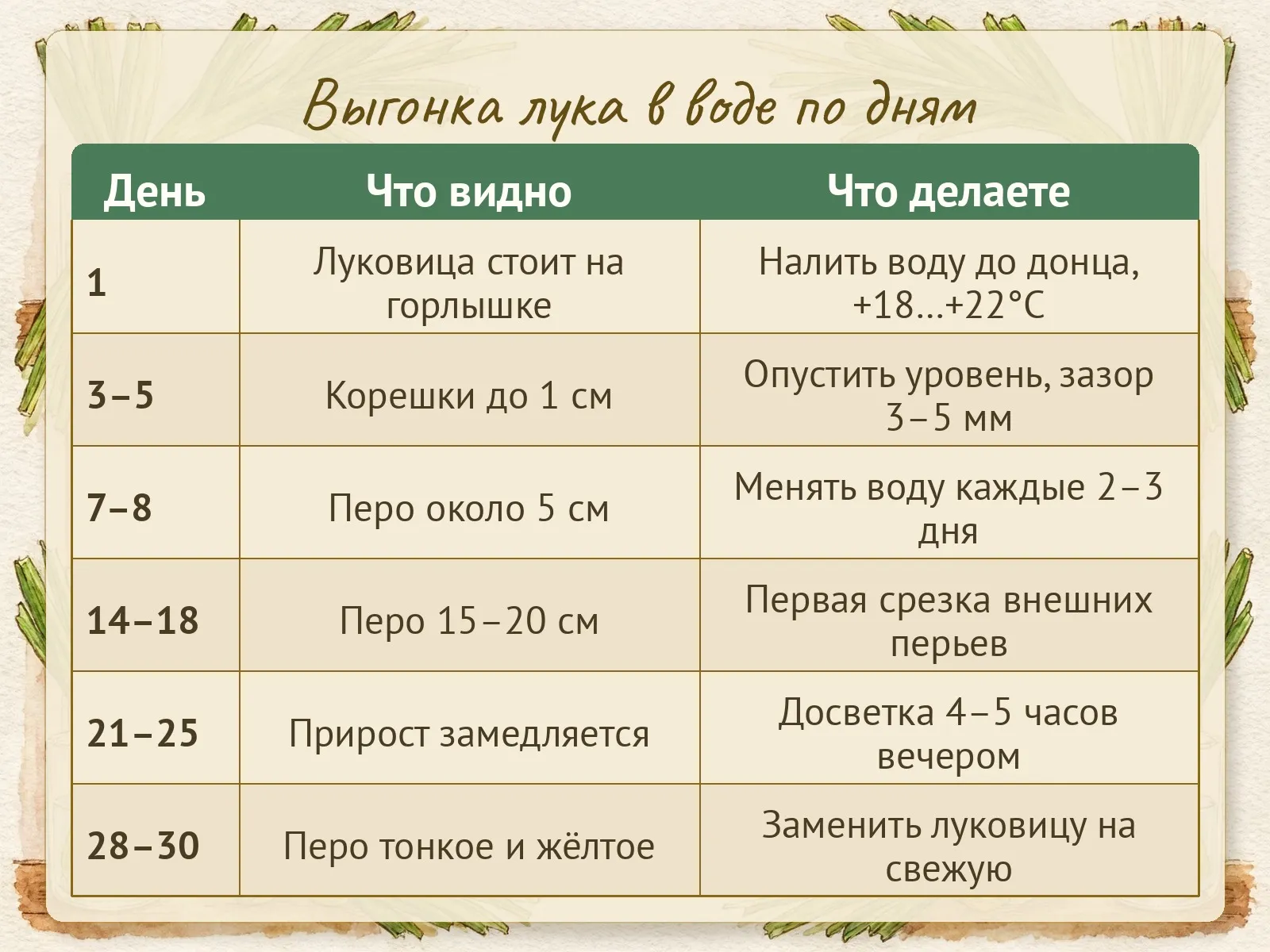 Таблица