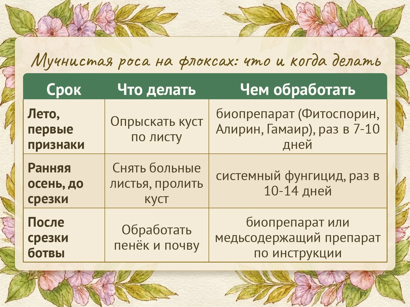 Таблица