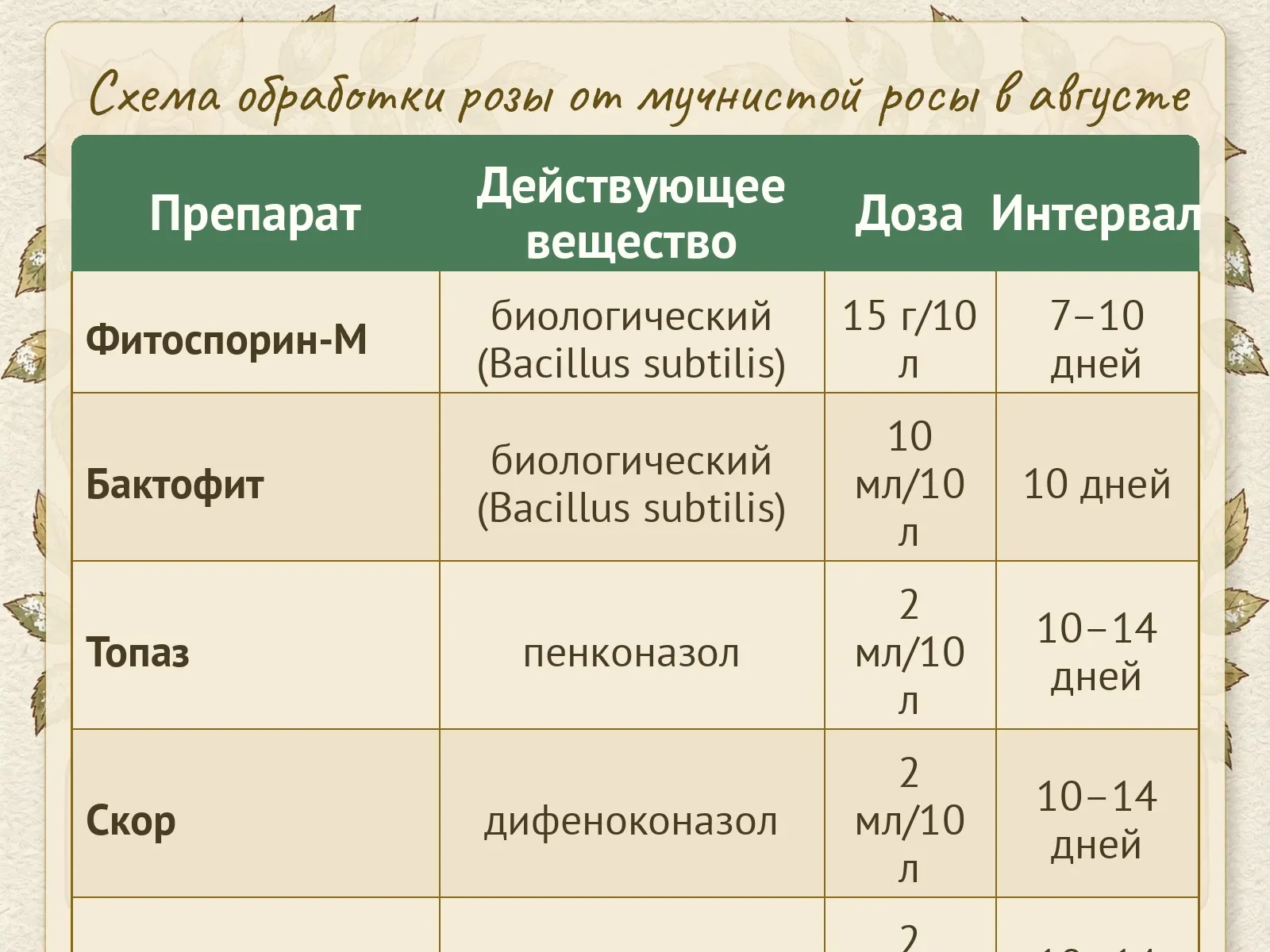 Таблица