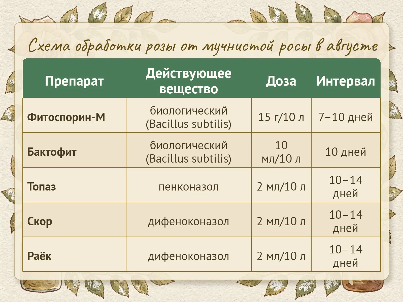 Таблица