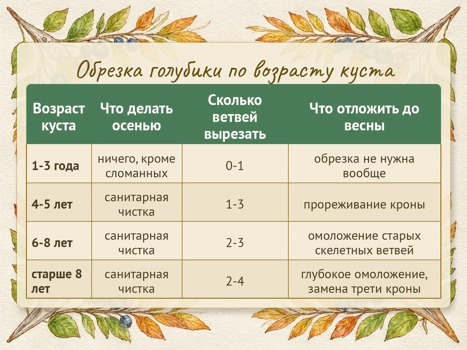Таблица