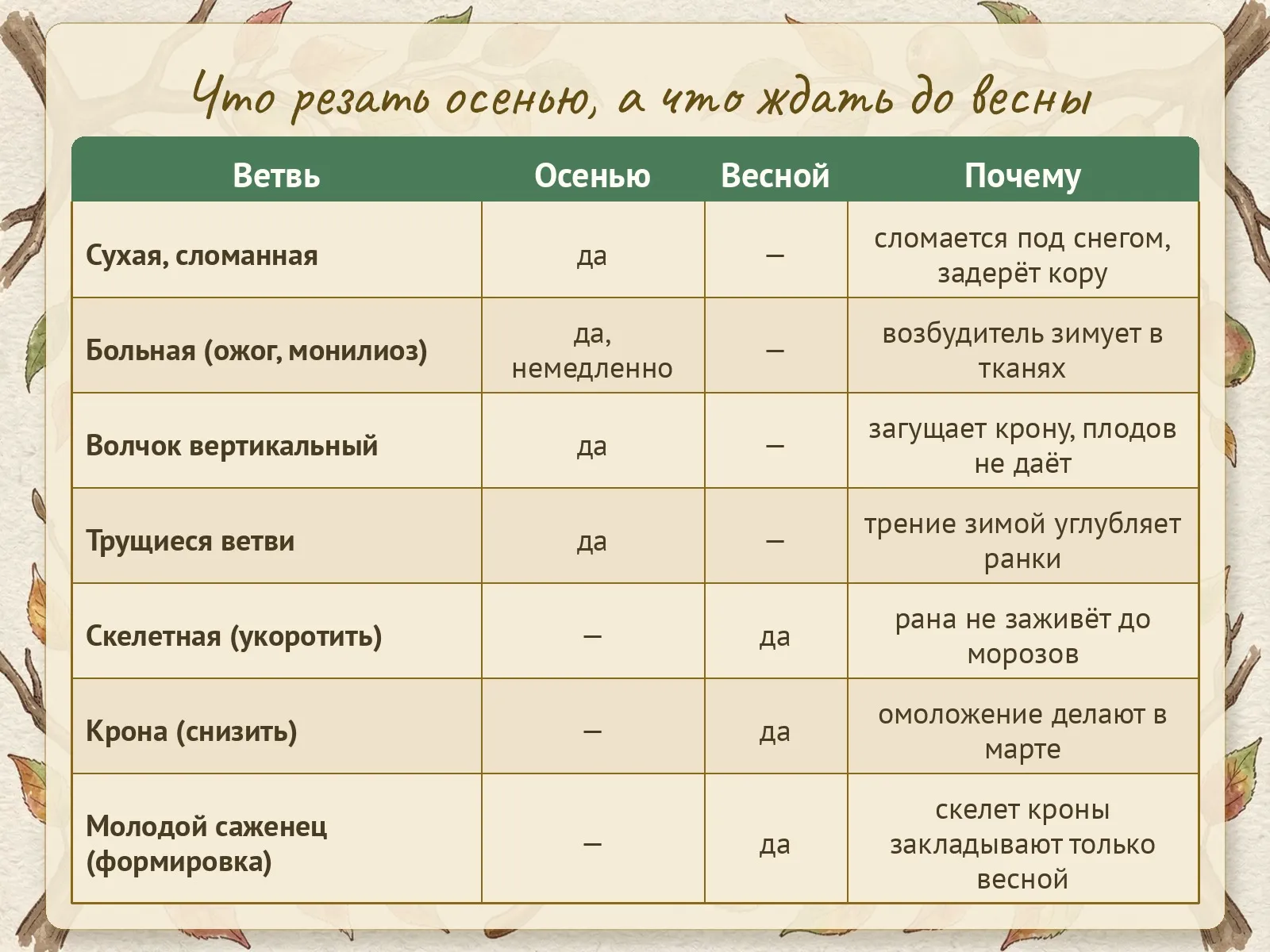 Таблица