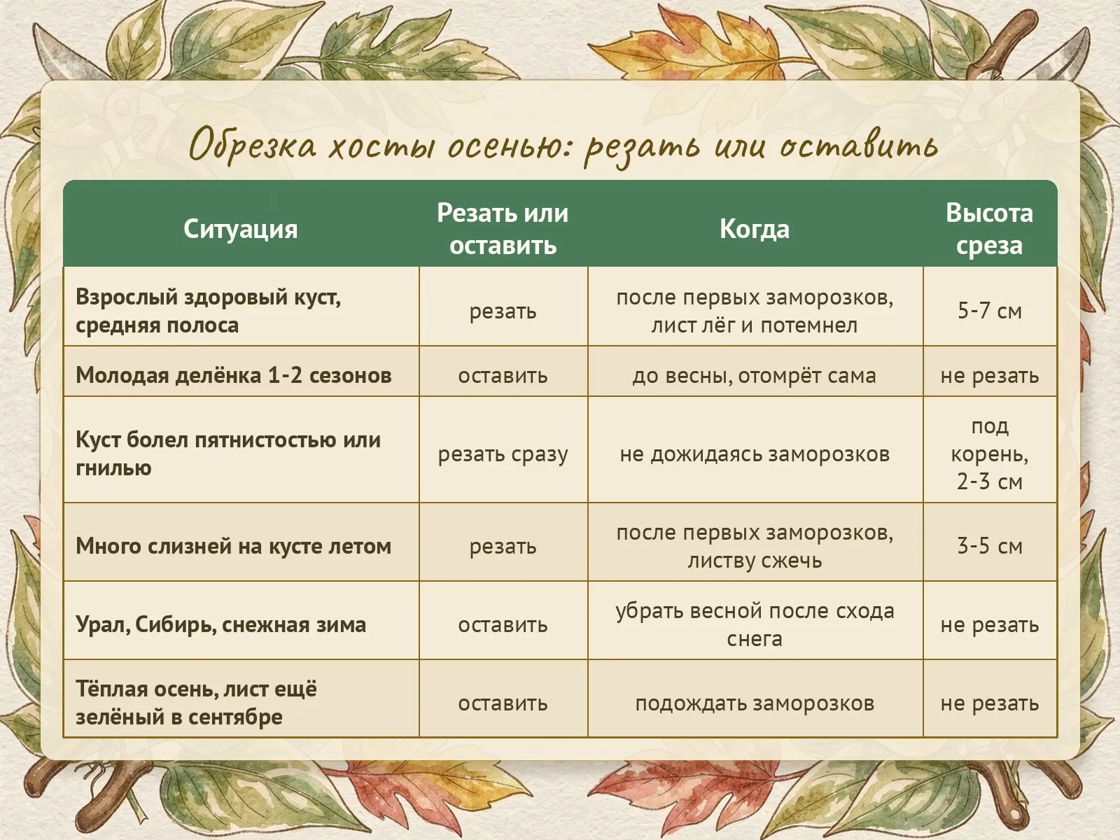 Таблица