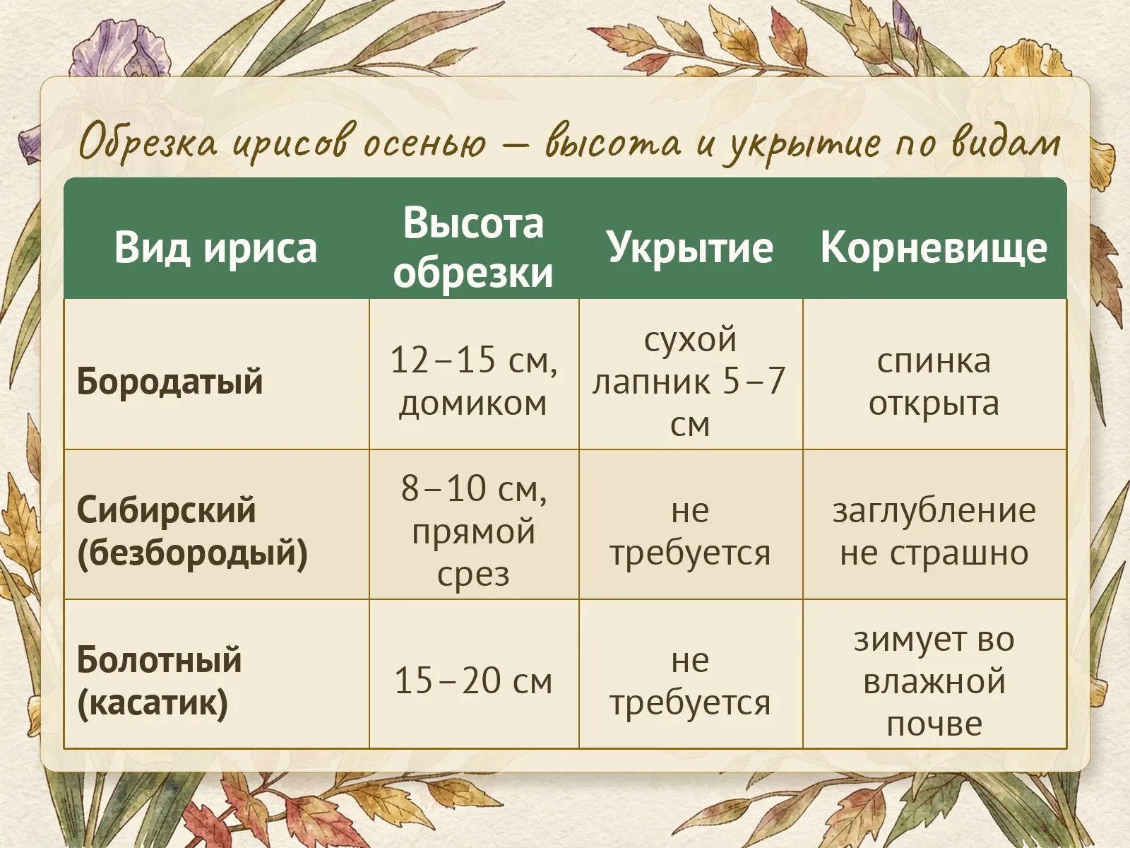 Таблица