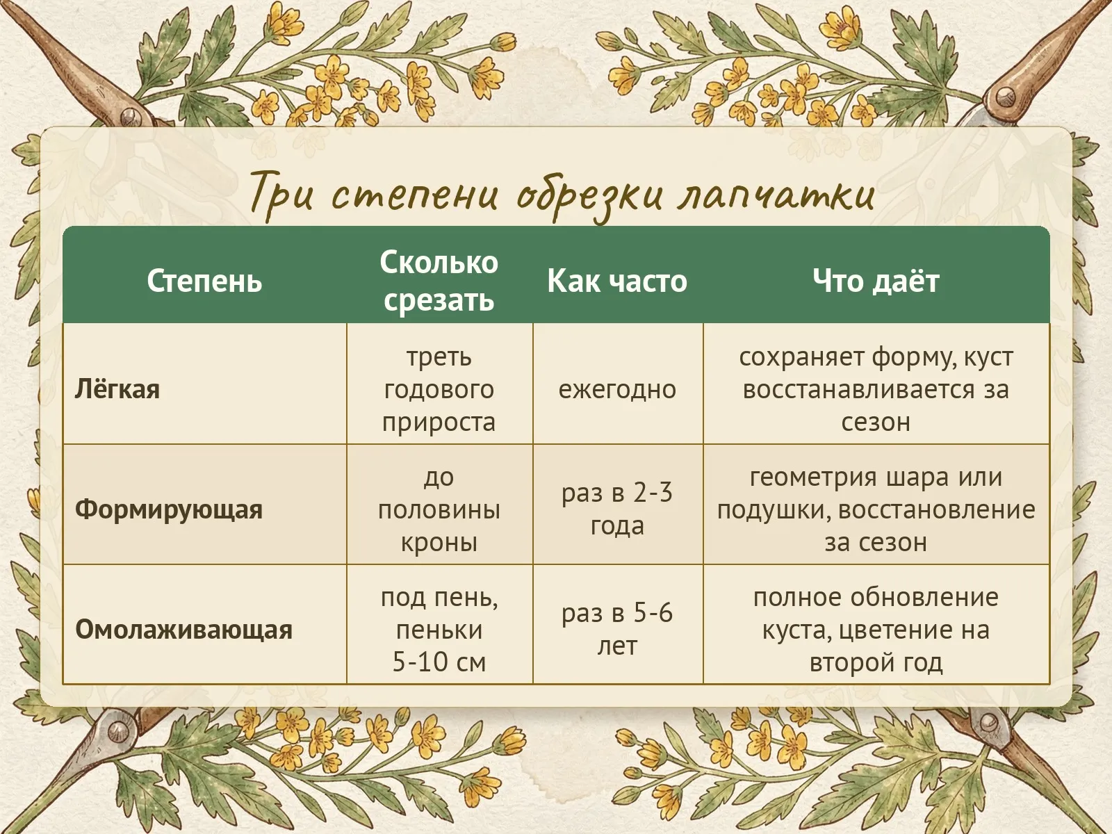 Таблица