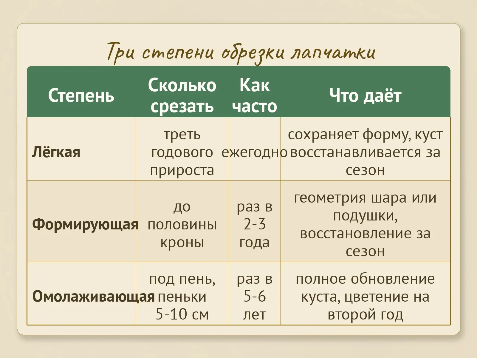 Таблица
