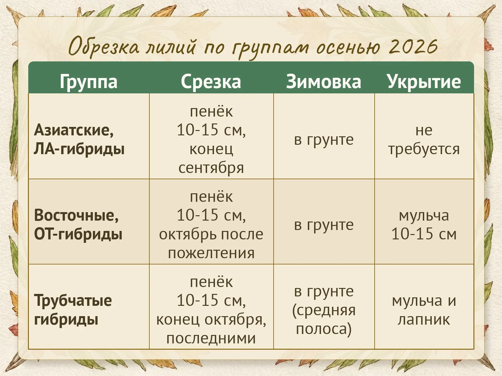 Таблица