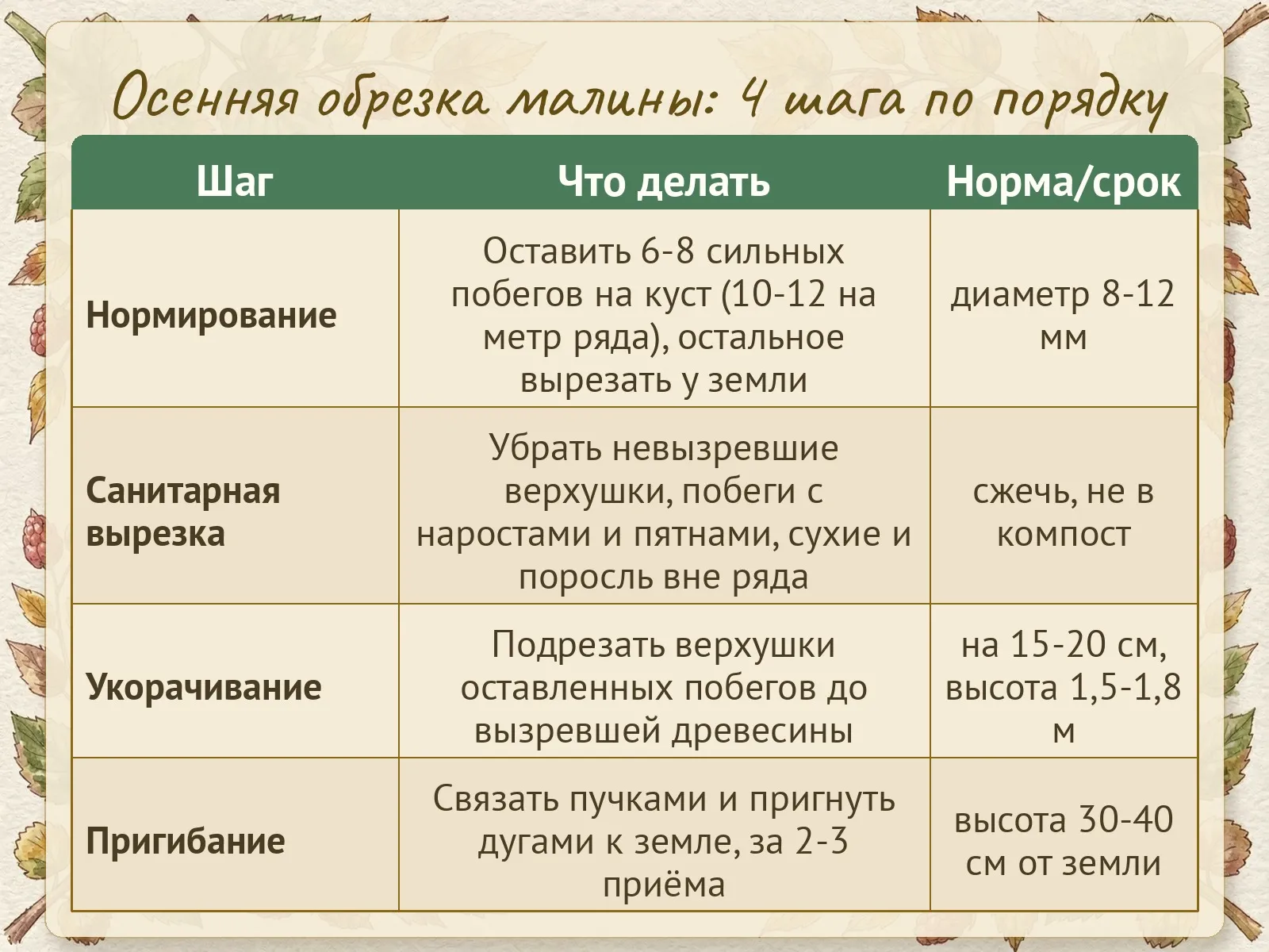 Таблица