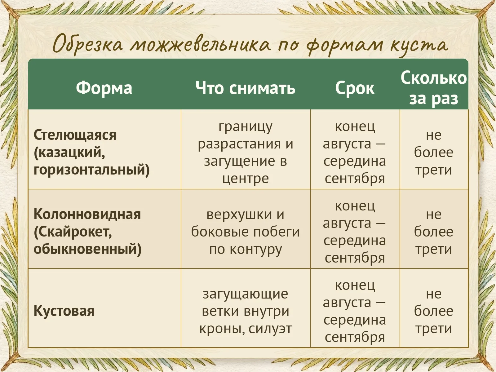 Таблица