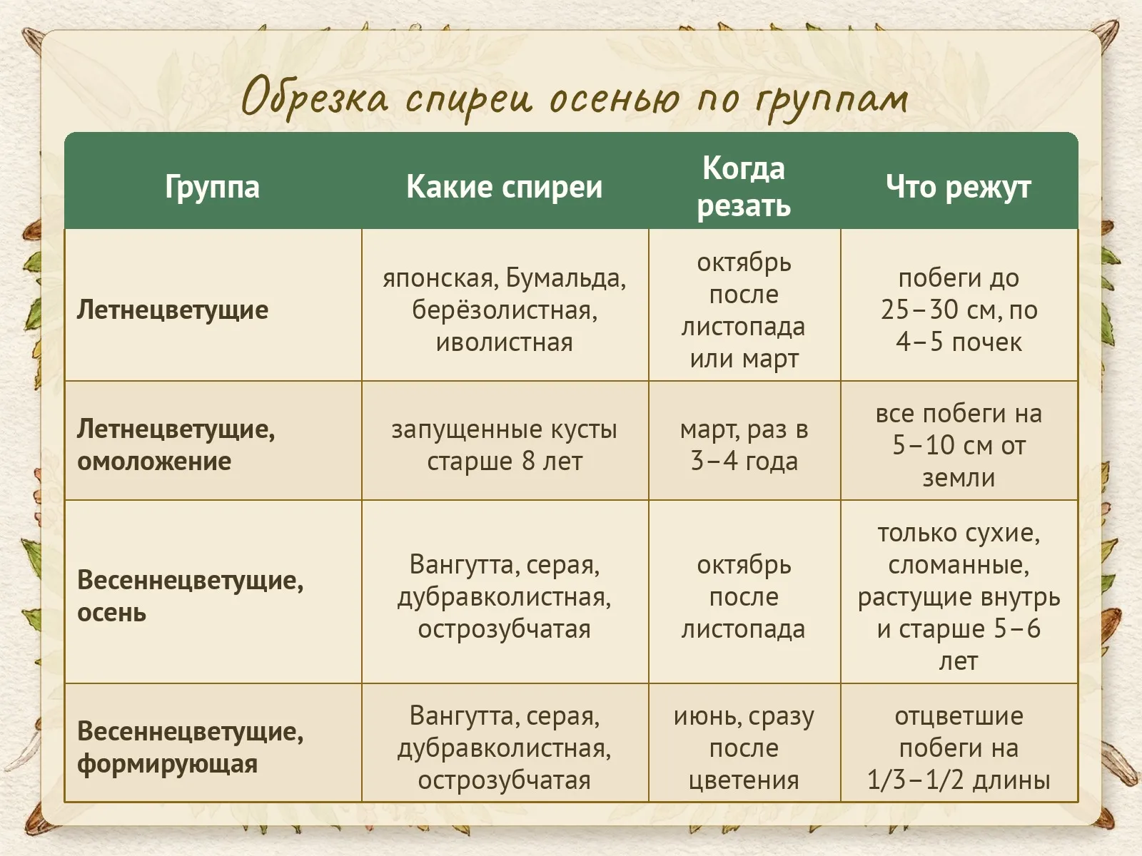Таблица