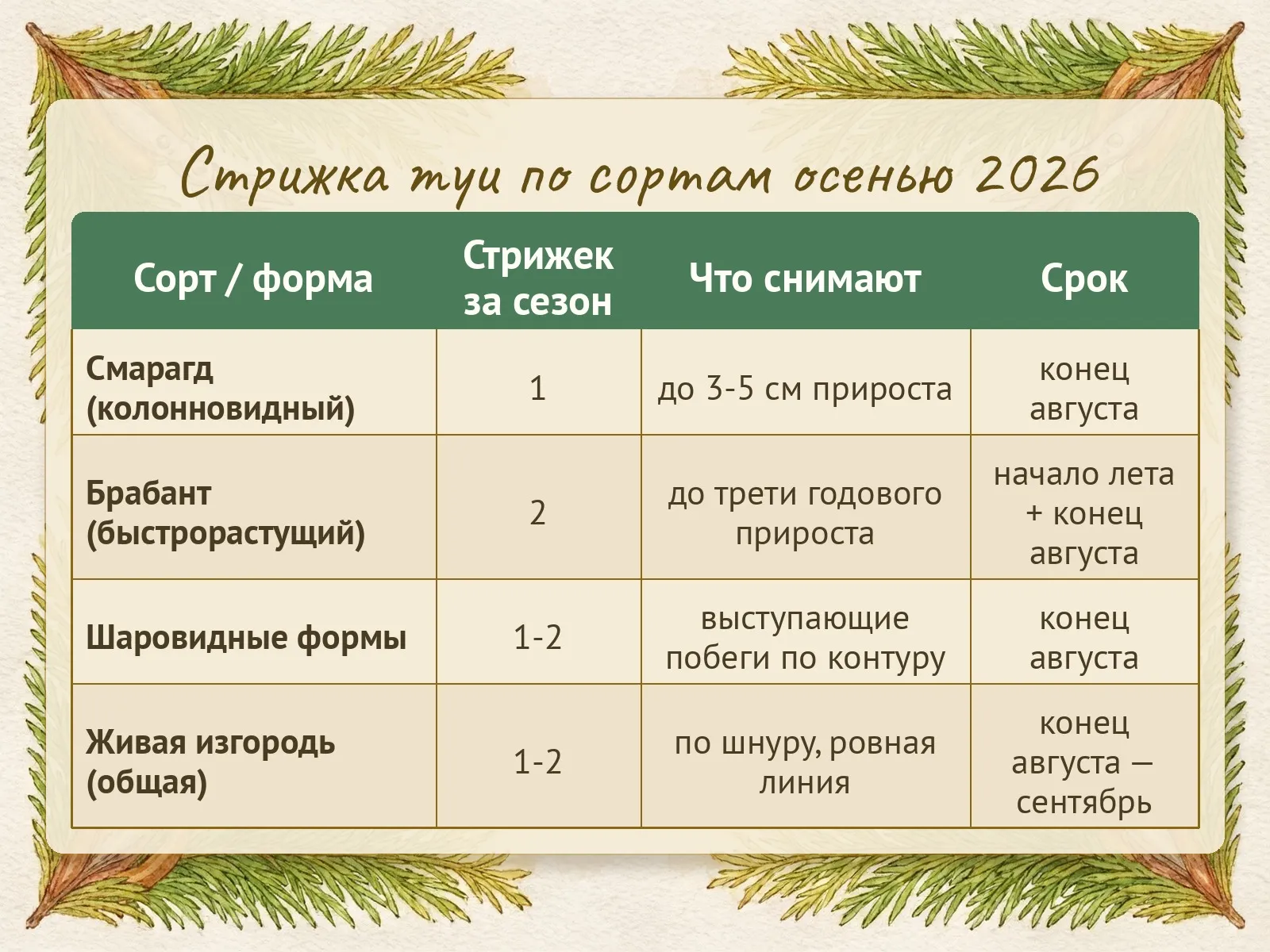 Таблица