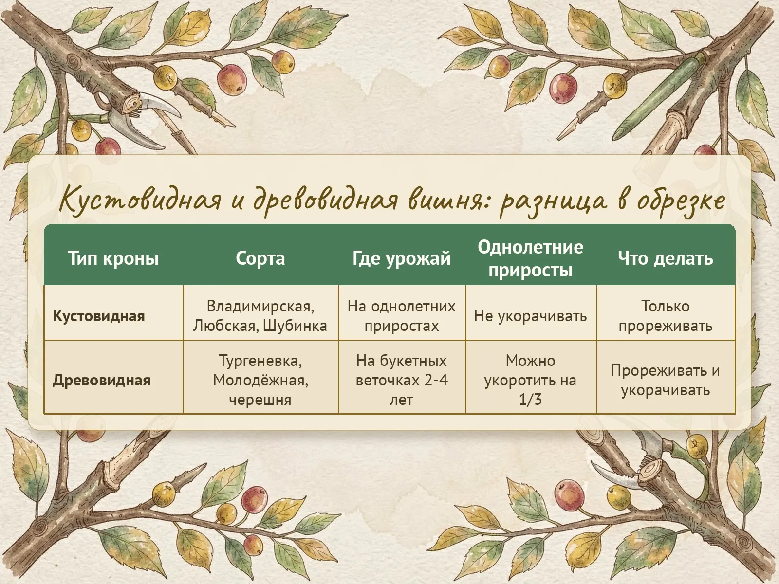 Таблица