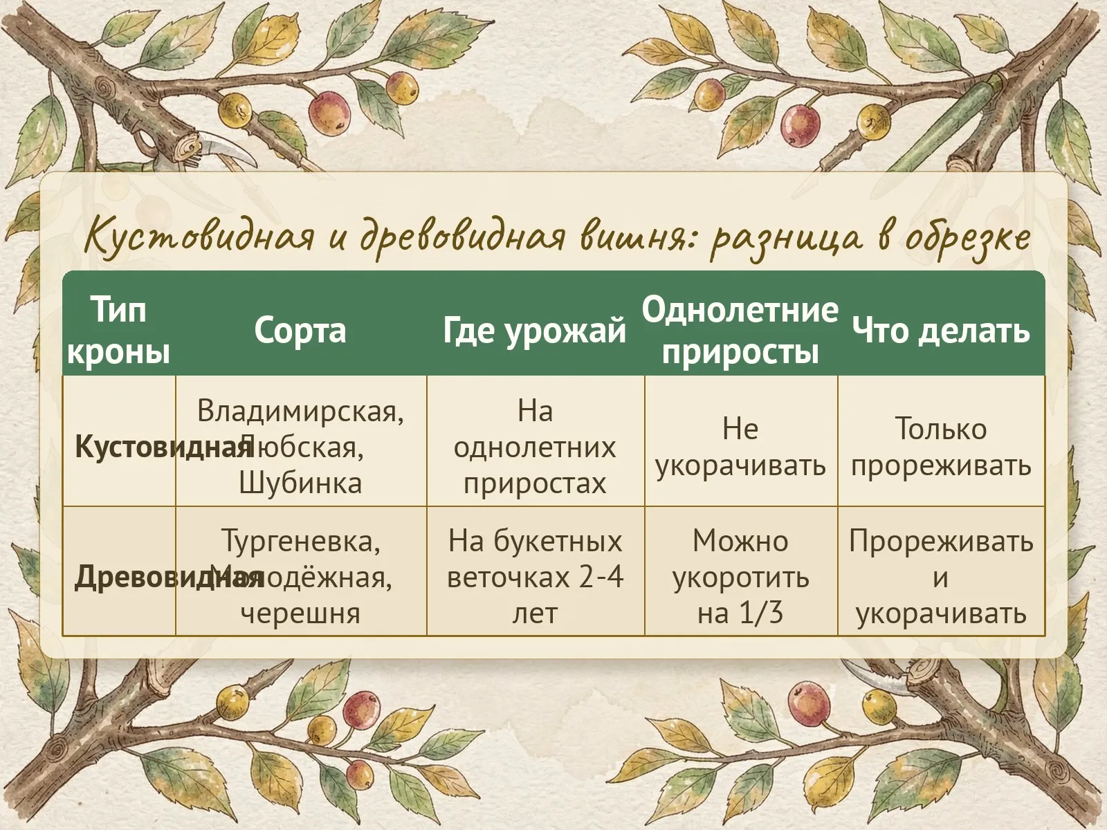 Таблица