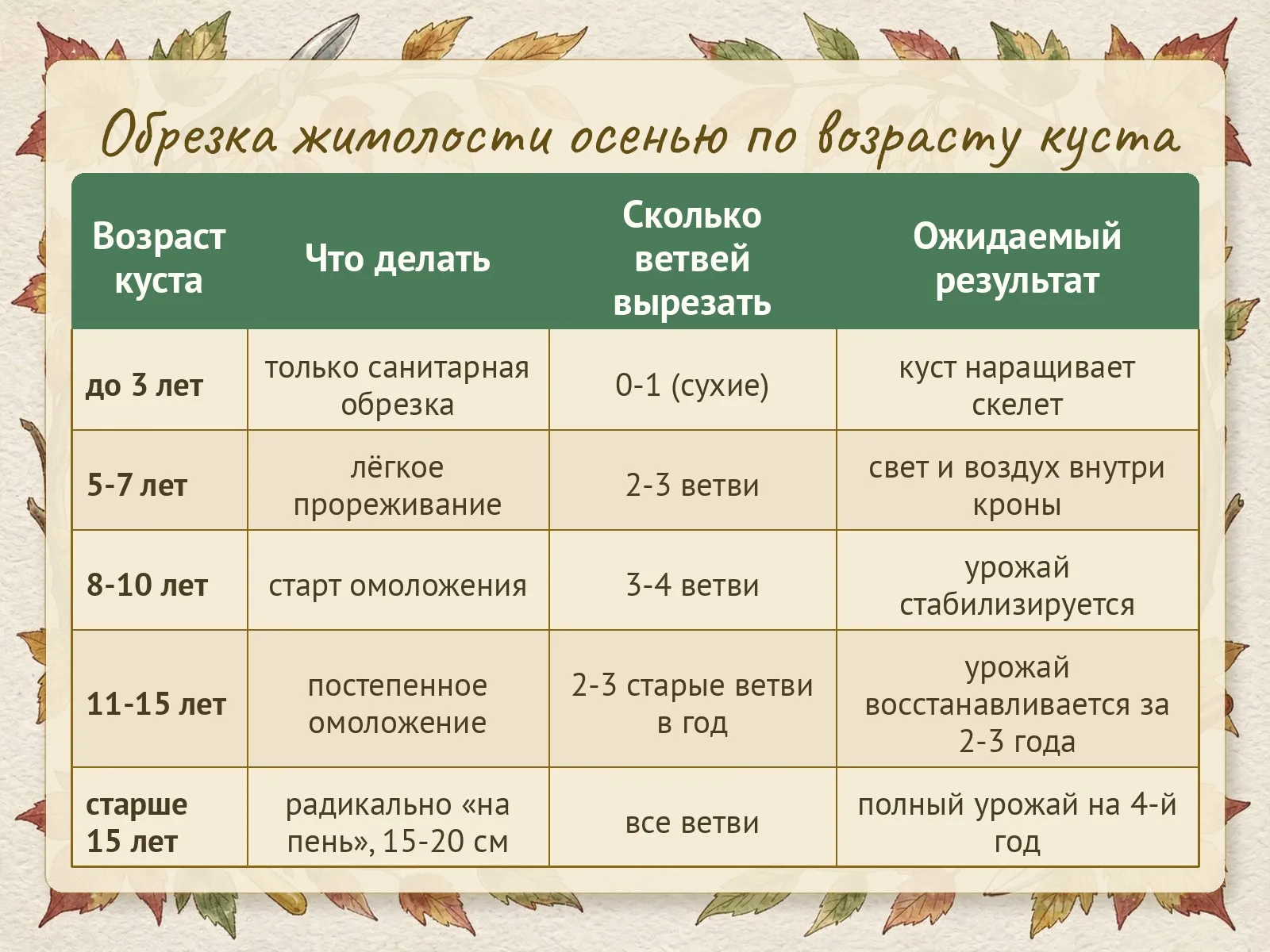 Таблица