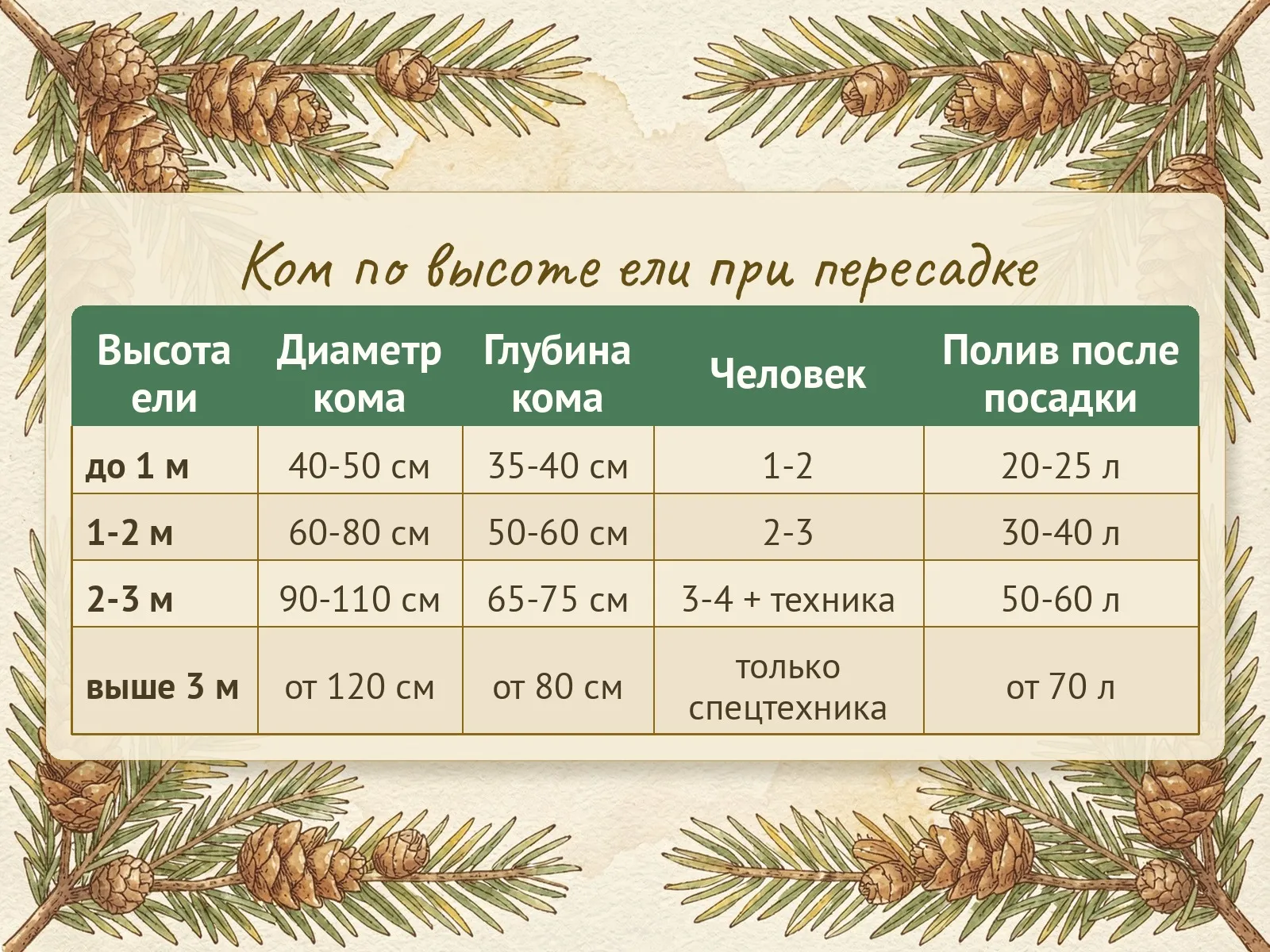 Таблица