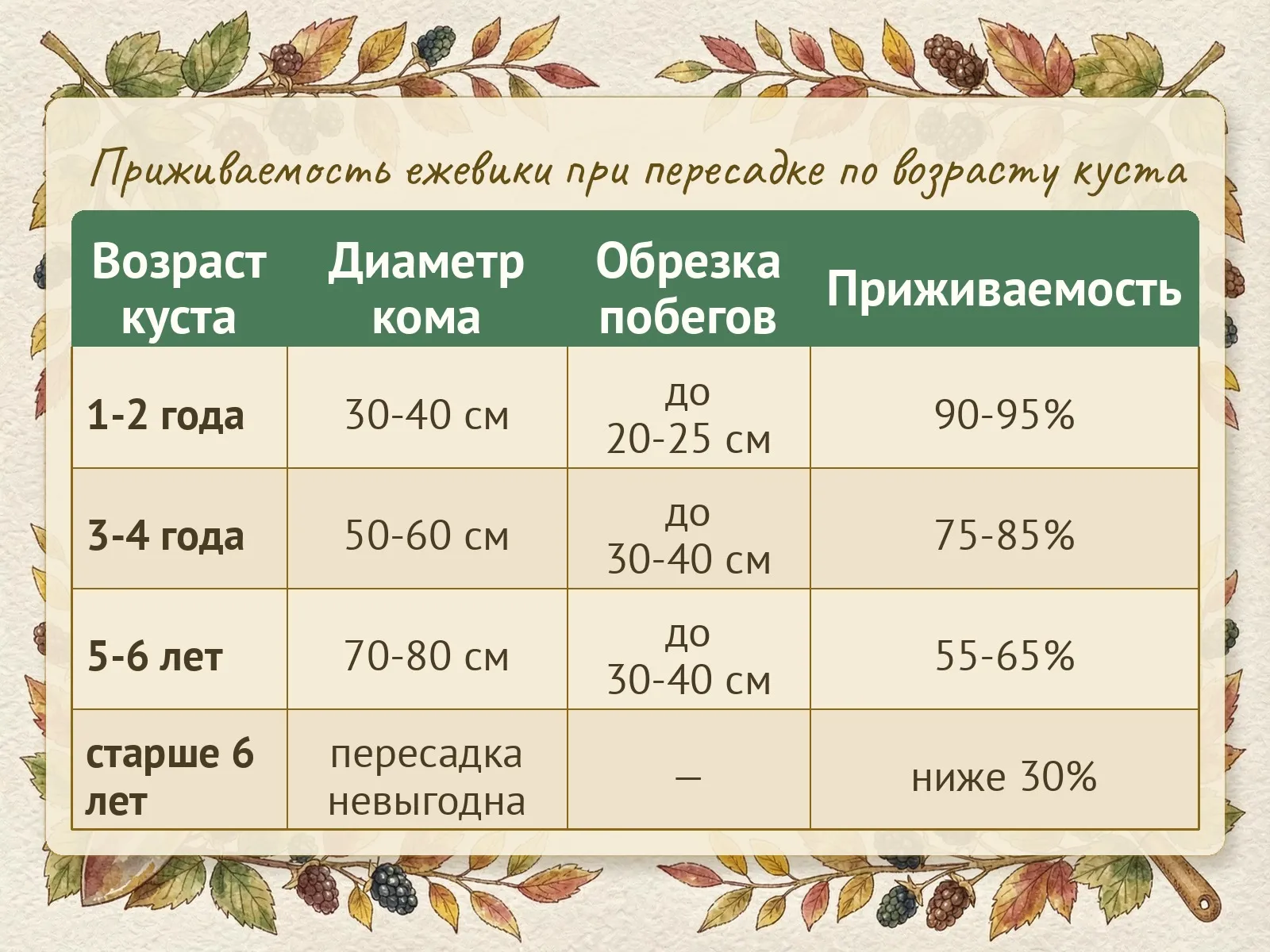 Таблица