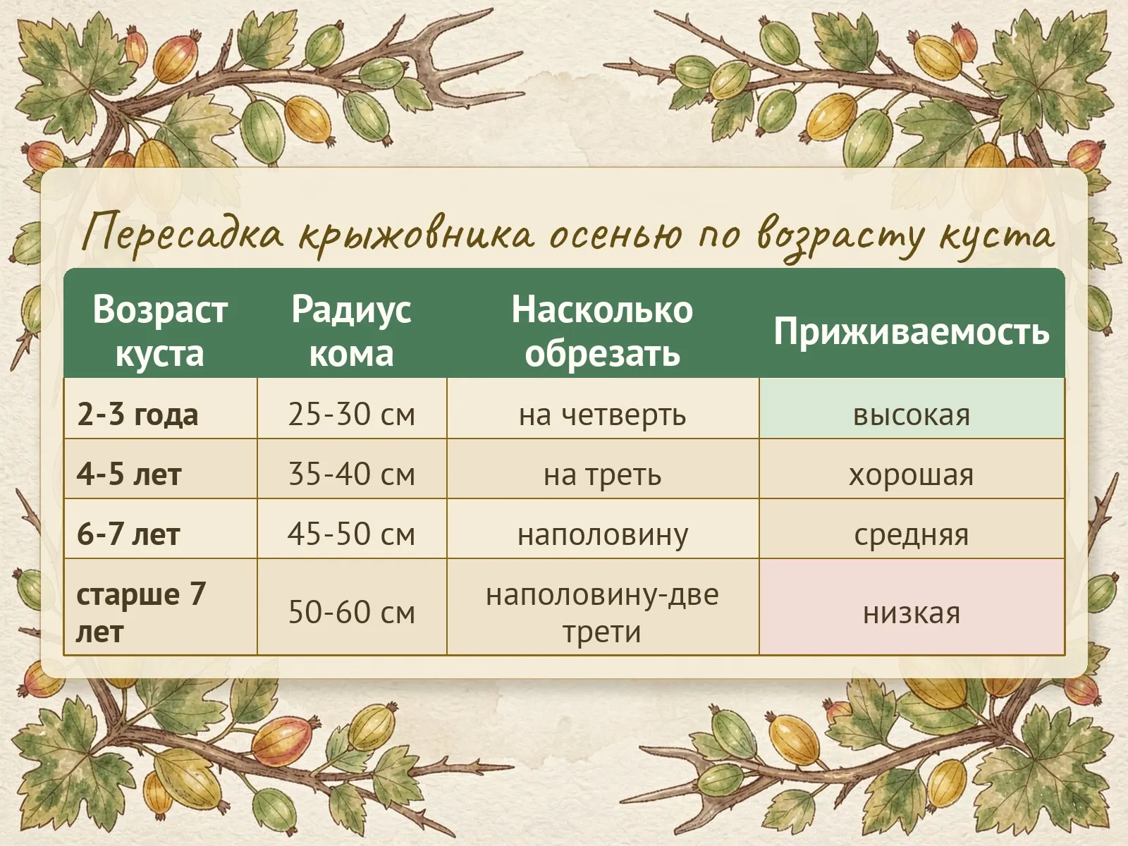 Таблица