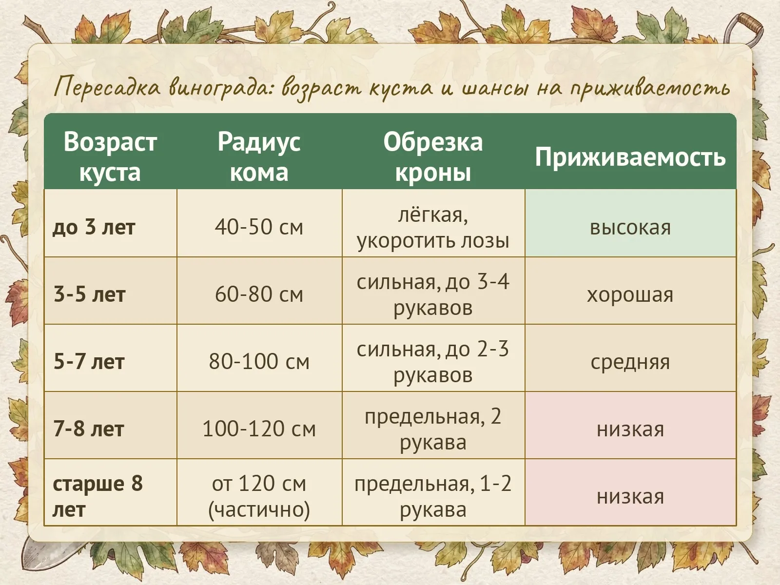 Таблица