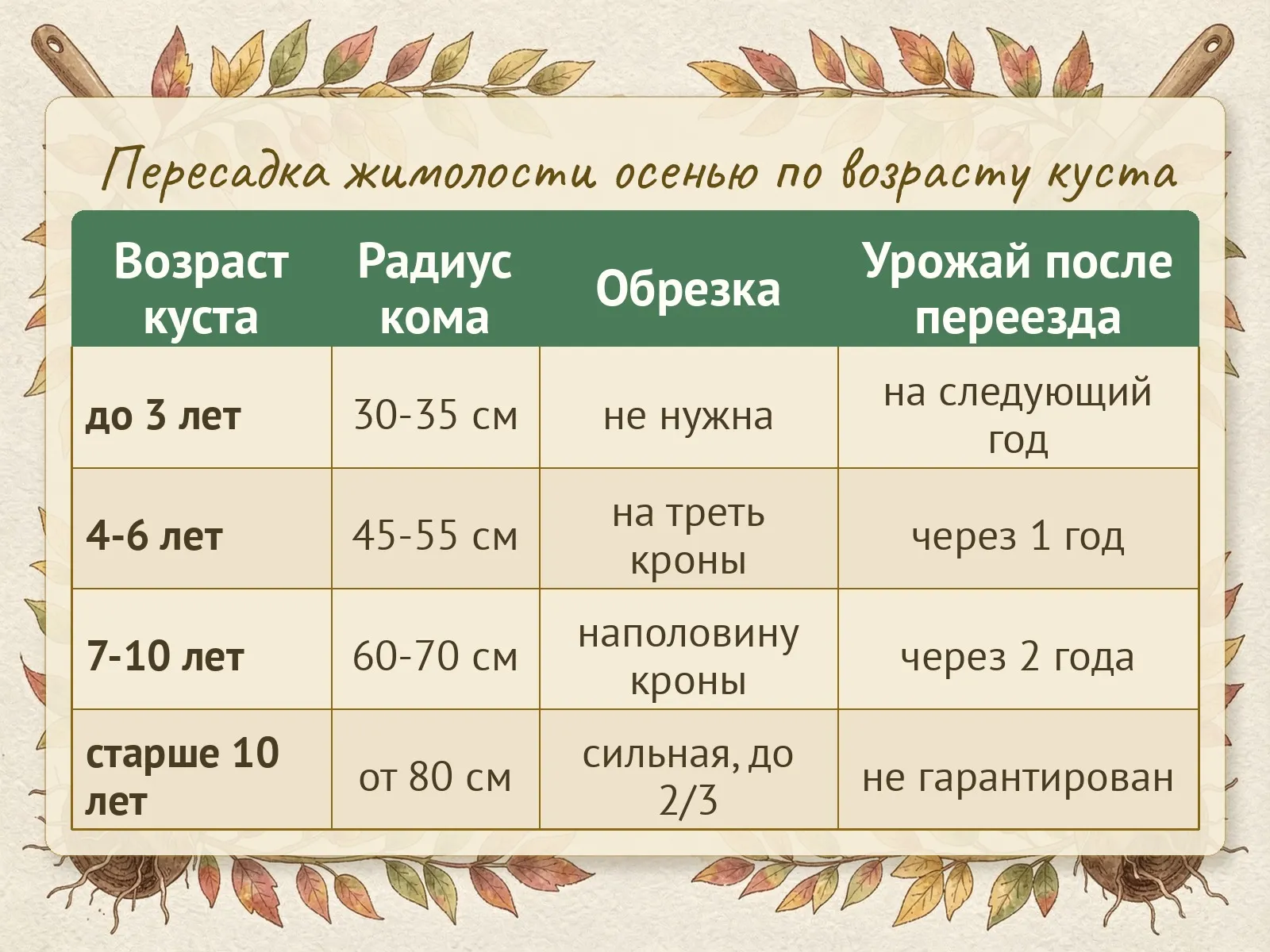 Таблица