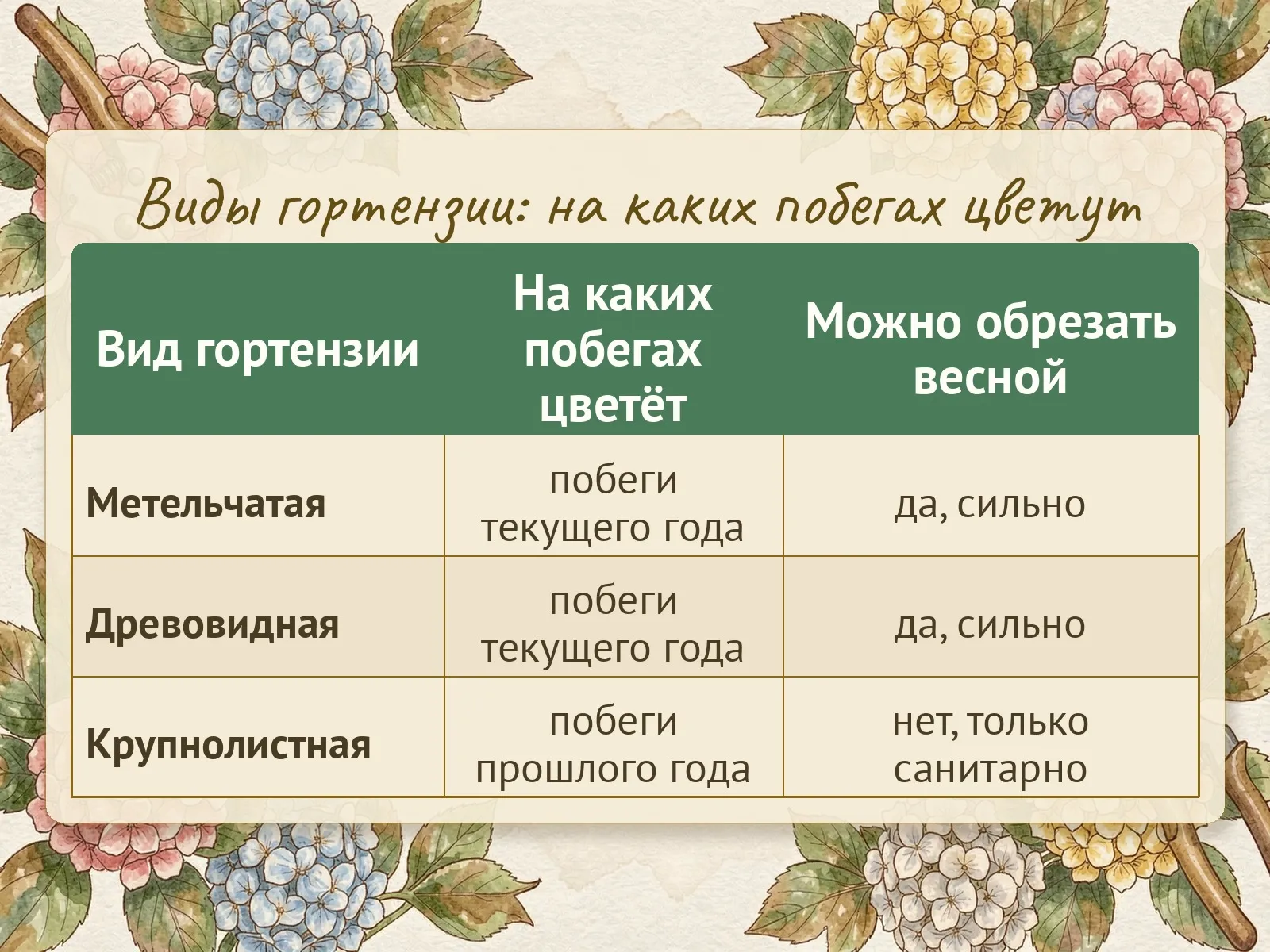 Таблица