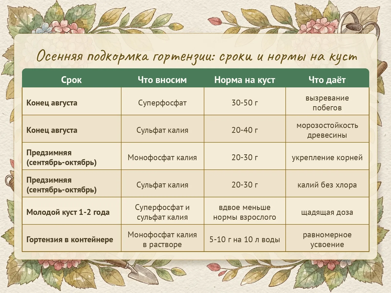 Таблица