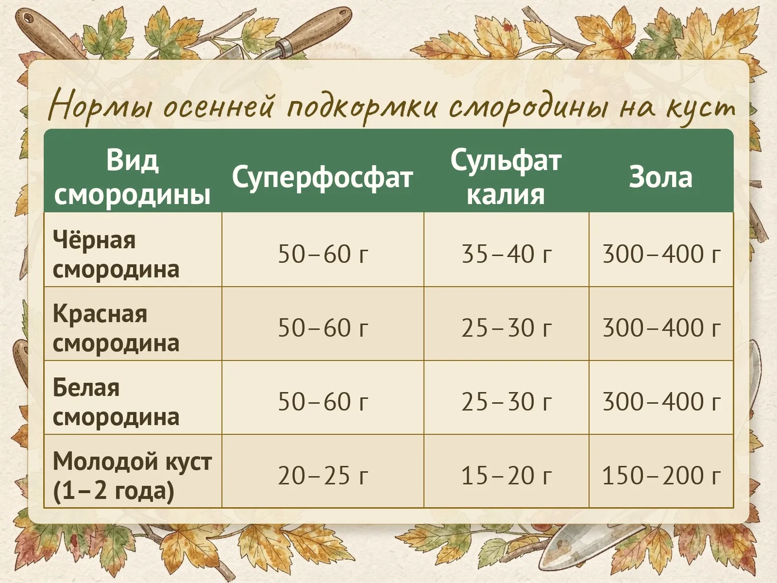 Таблица