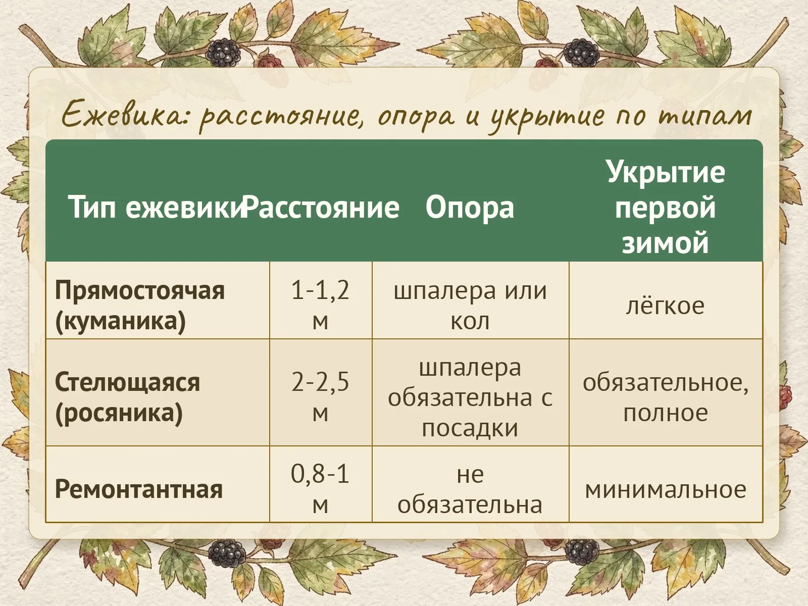 Таблица