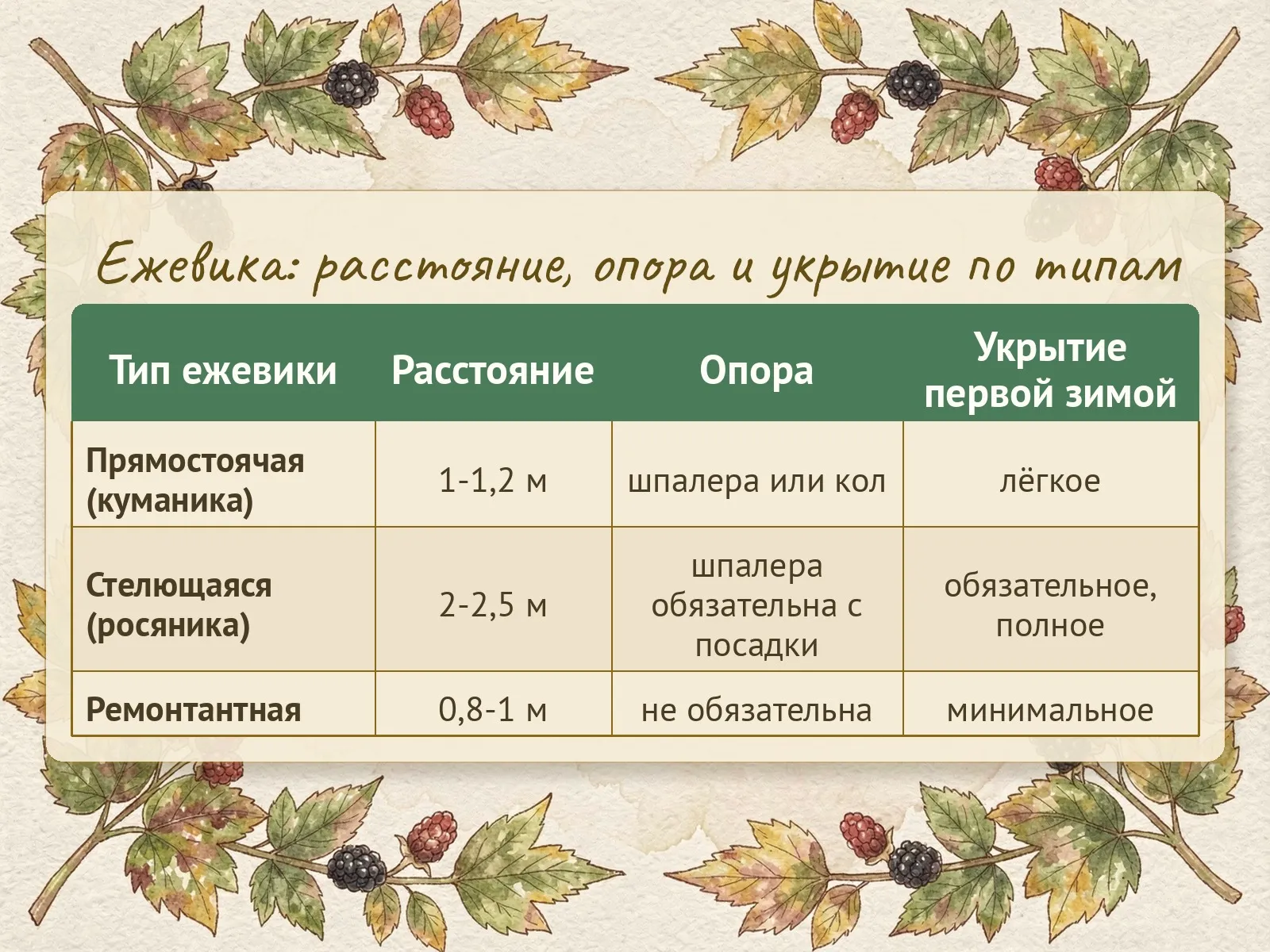 Таблица