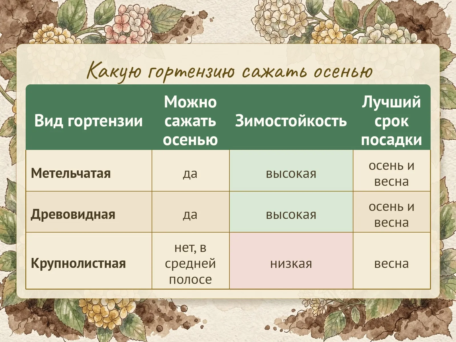 Таблица