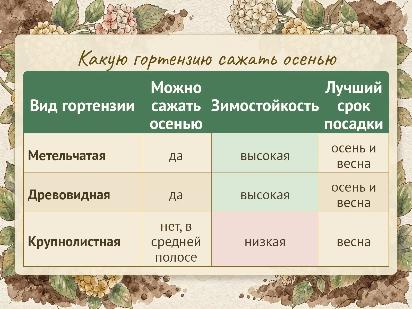 Таблица