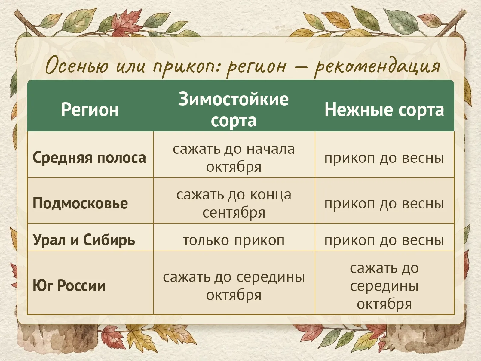 Таблица