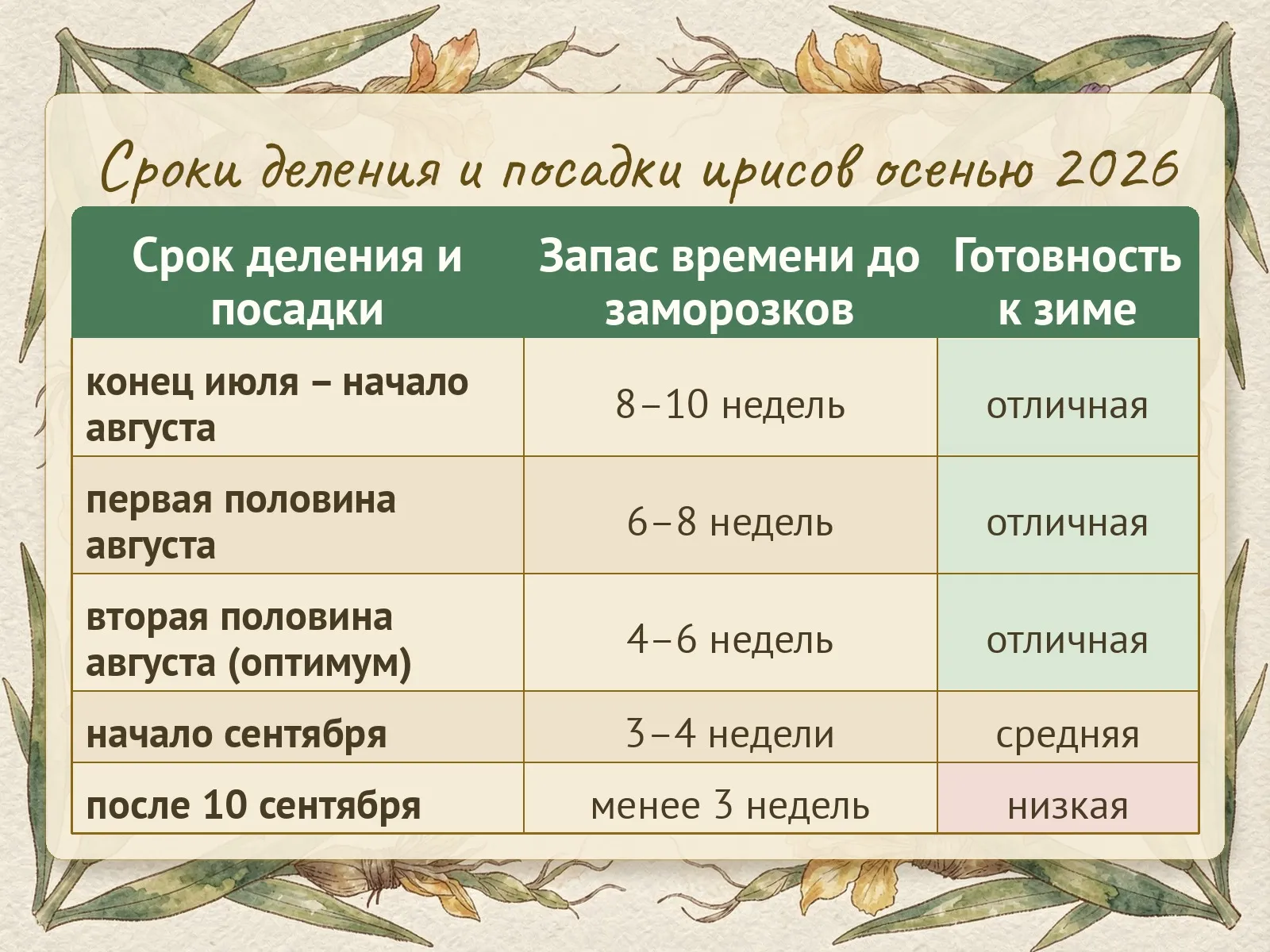 Таблица