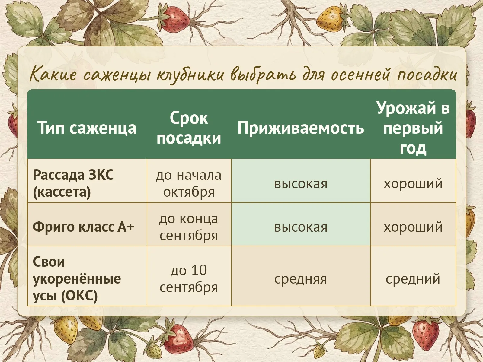 Таблица