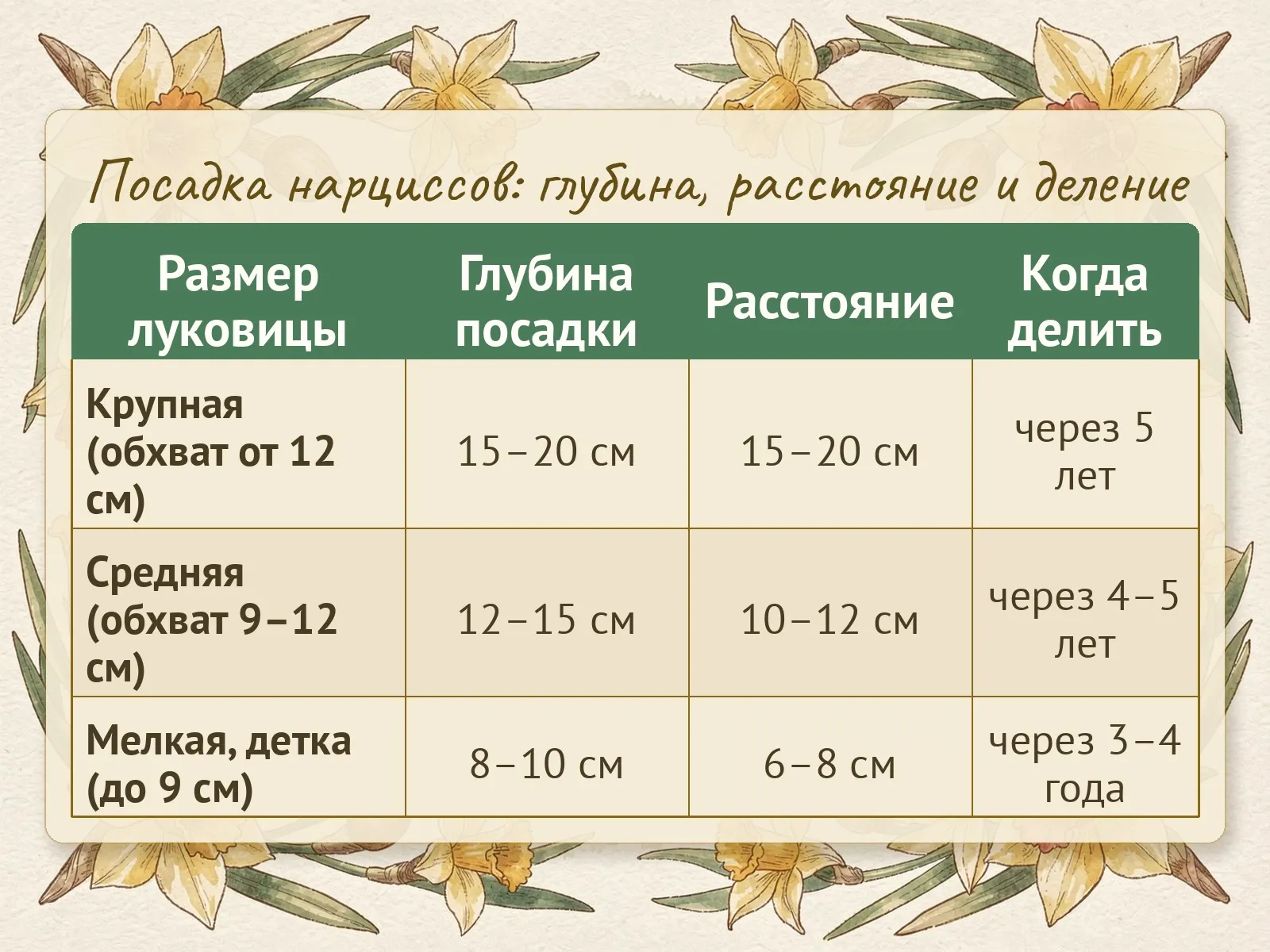 Таблица