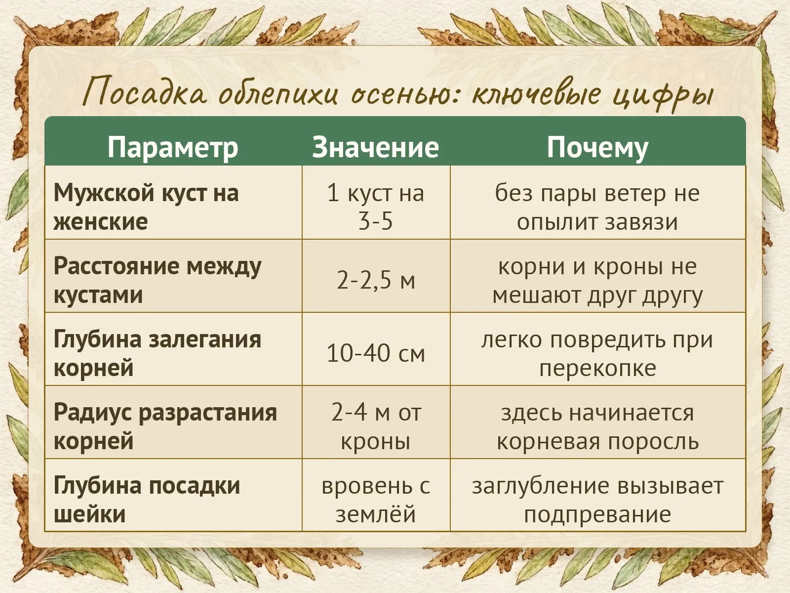 Таблица