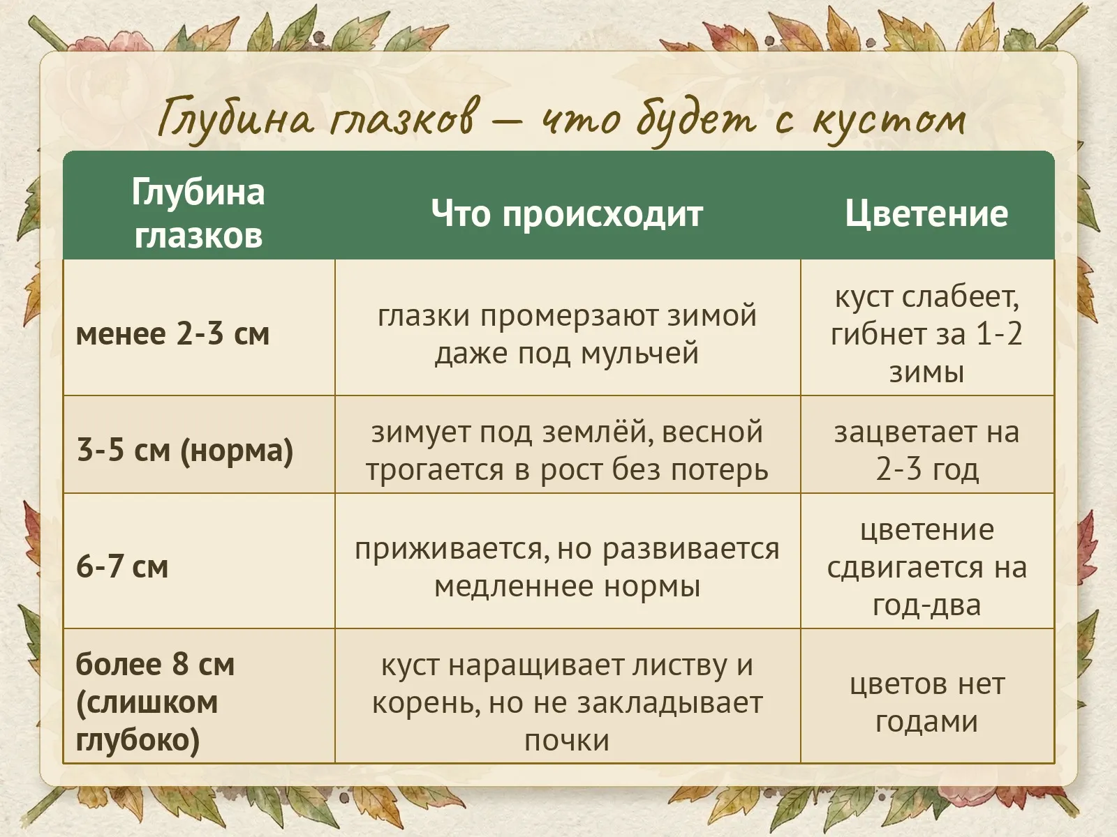 Таблица