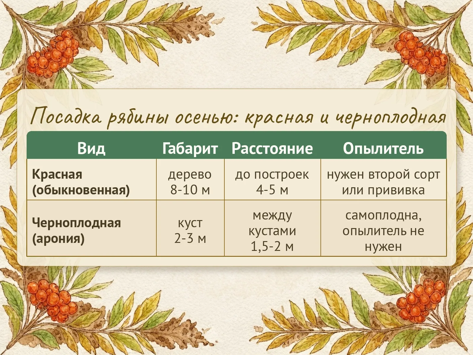 Таблица