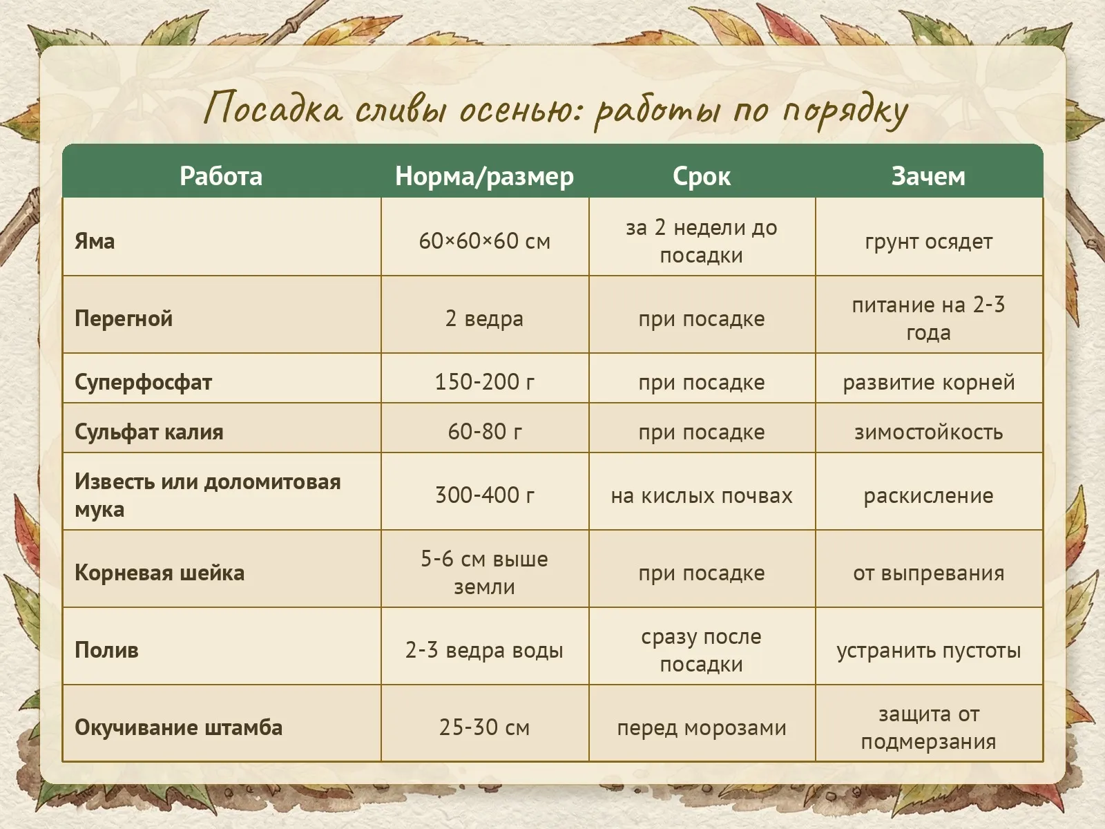 Таблица
