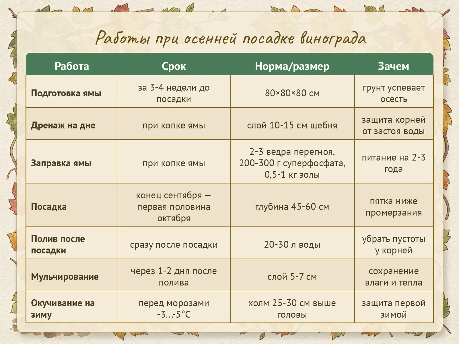 Таблица